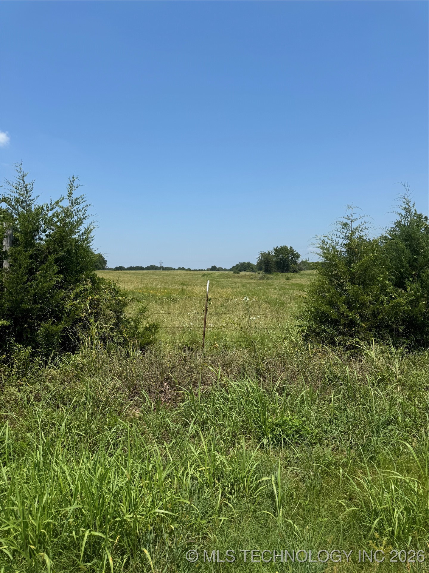 20253 Bales Road Property Photo 15