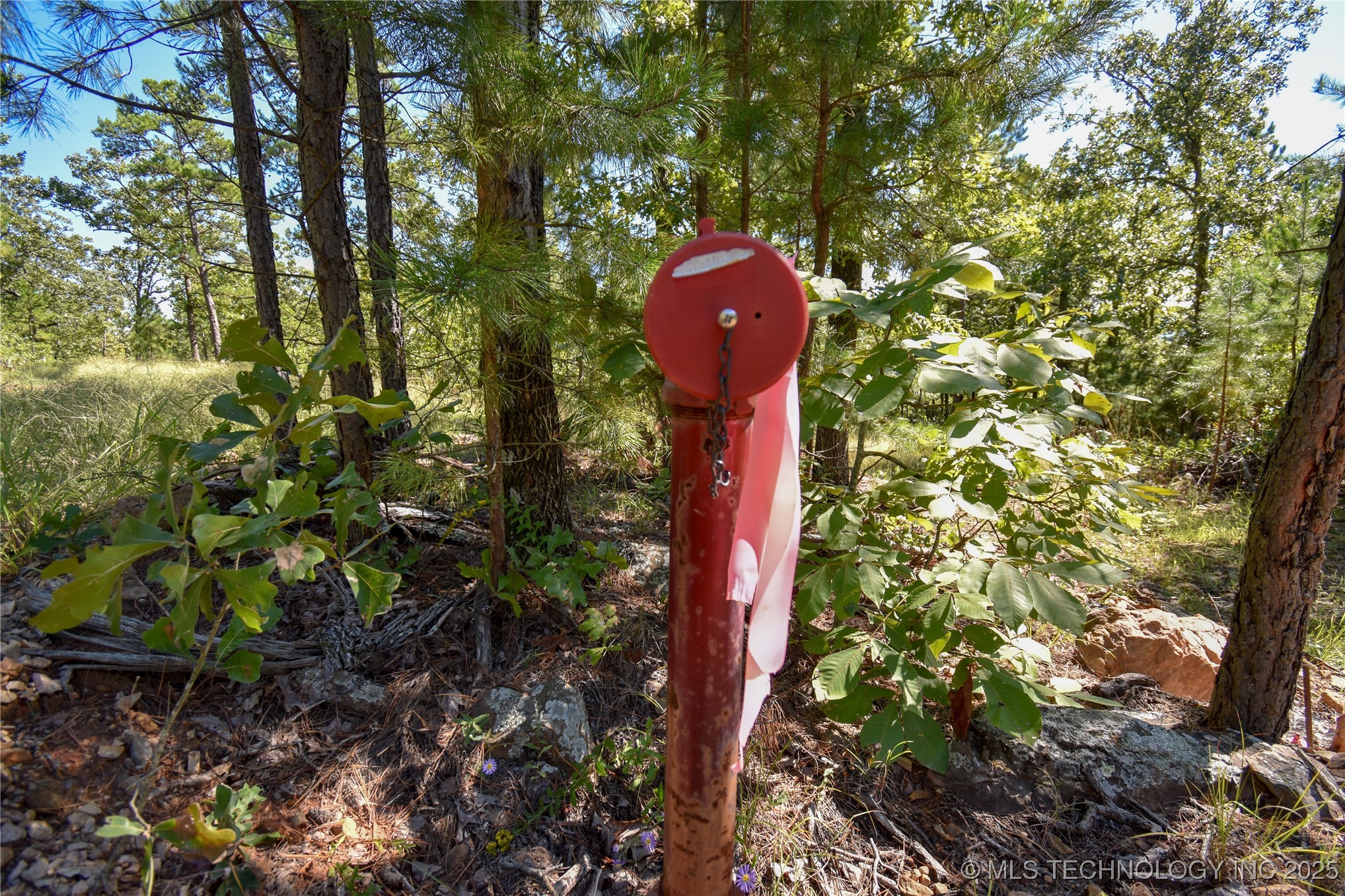 53 Sw 235th Street Property Photo 36