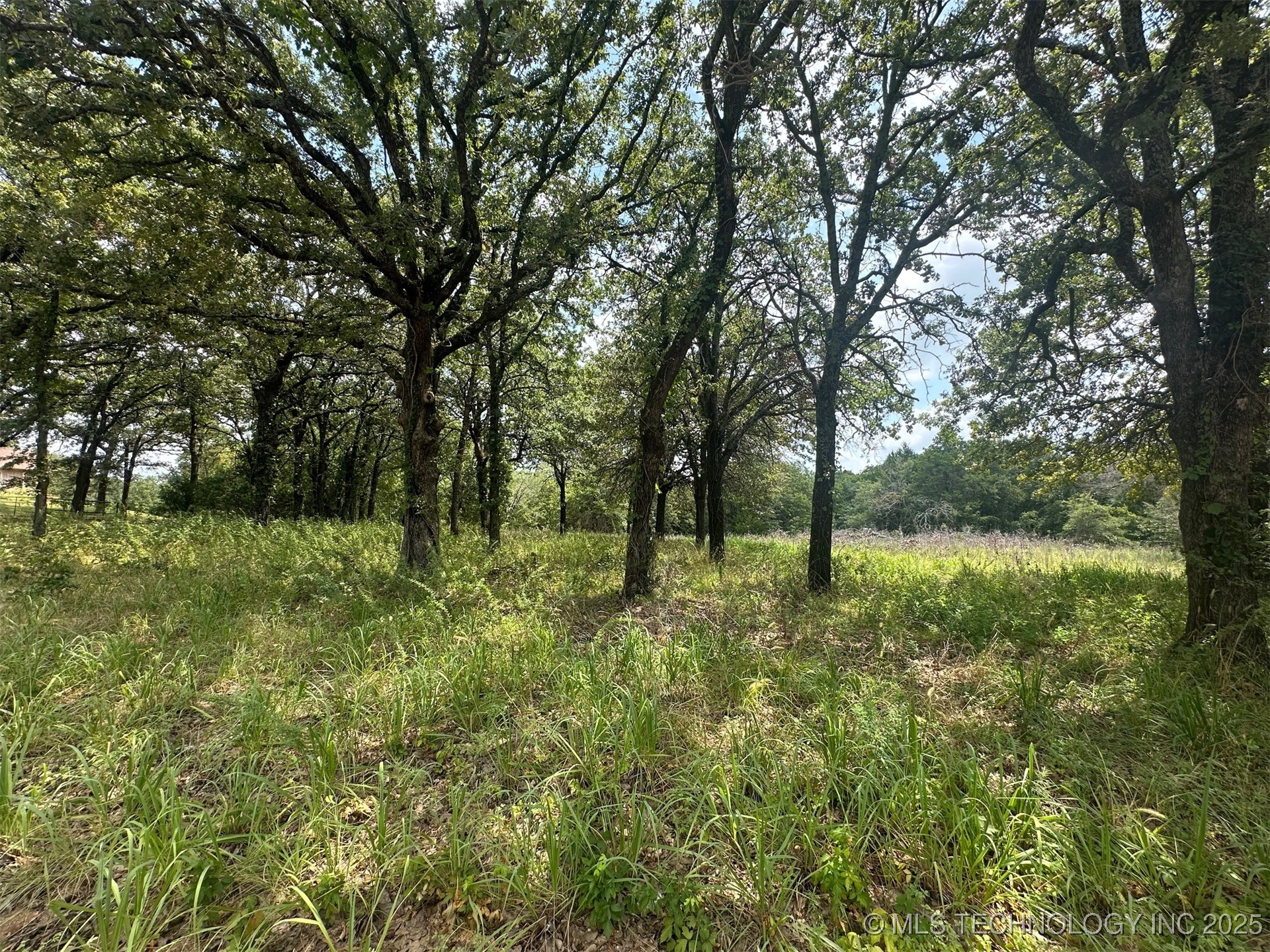 Alberta Creek Property Photo 7