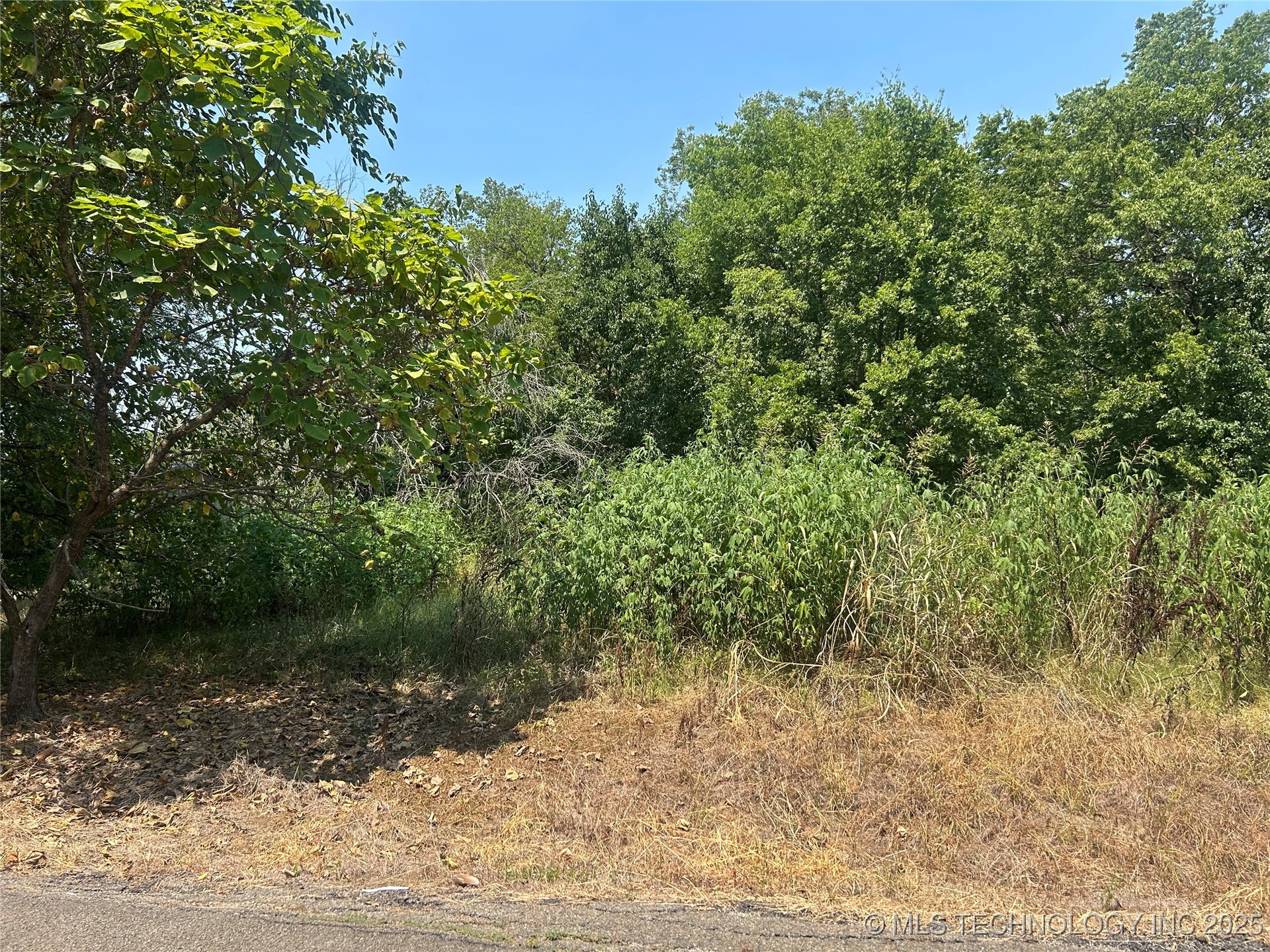 Euclid Avenue Property Photo 1