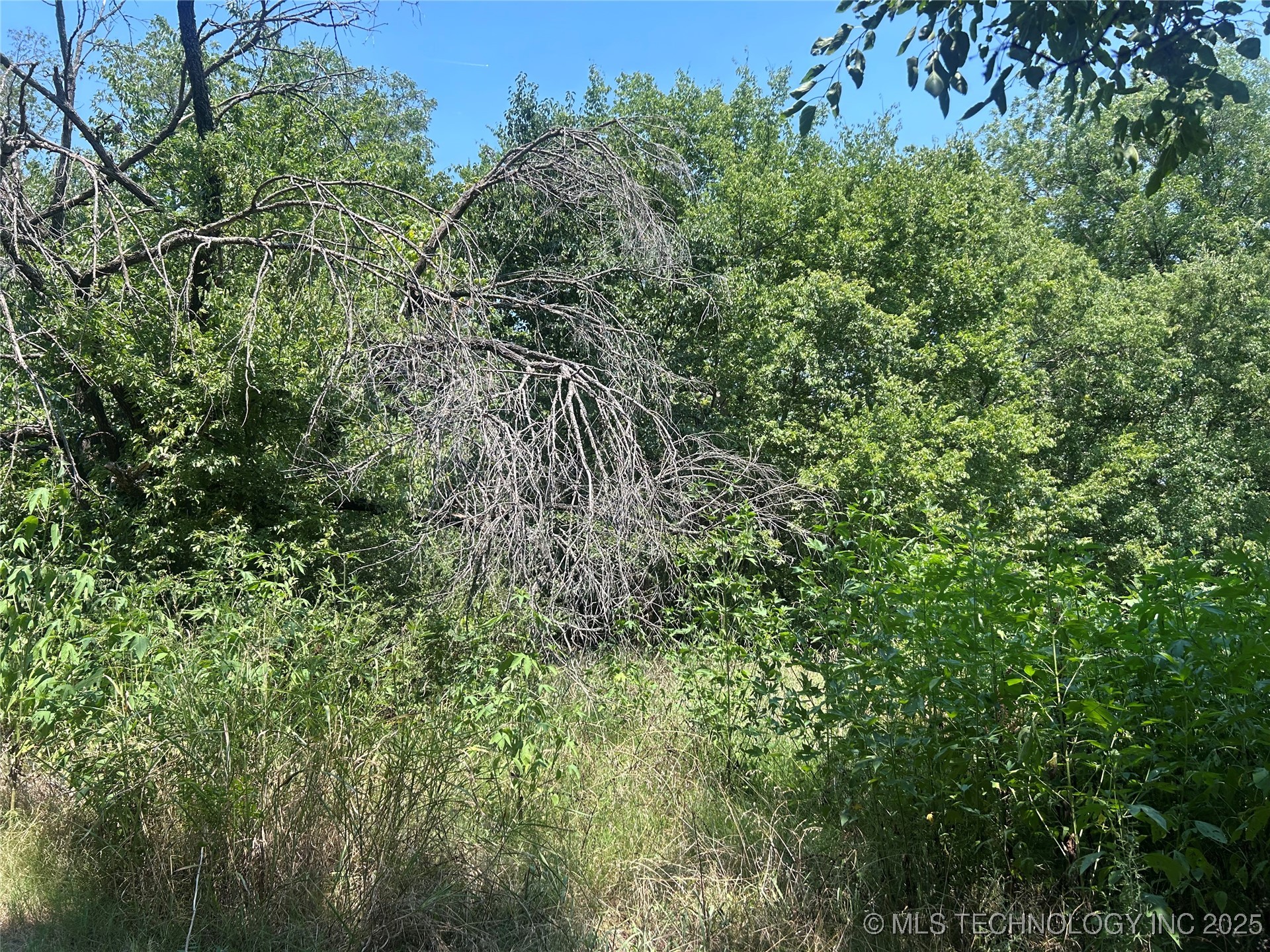 Euclid Avenue Property Photo 2