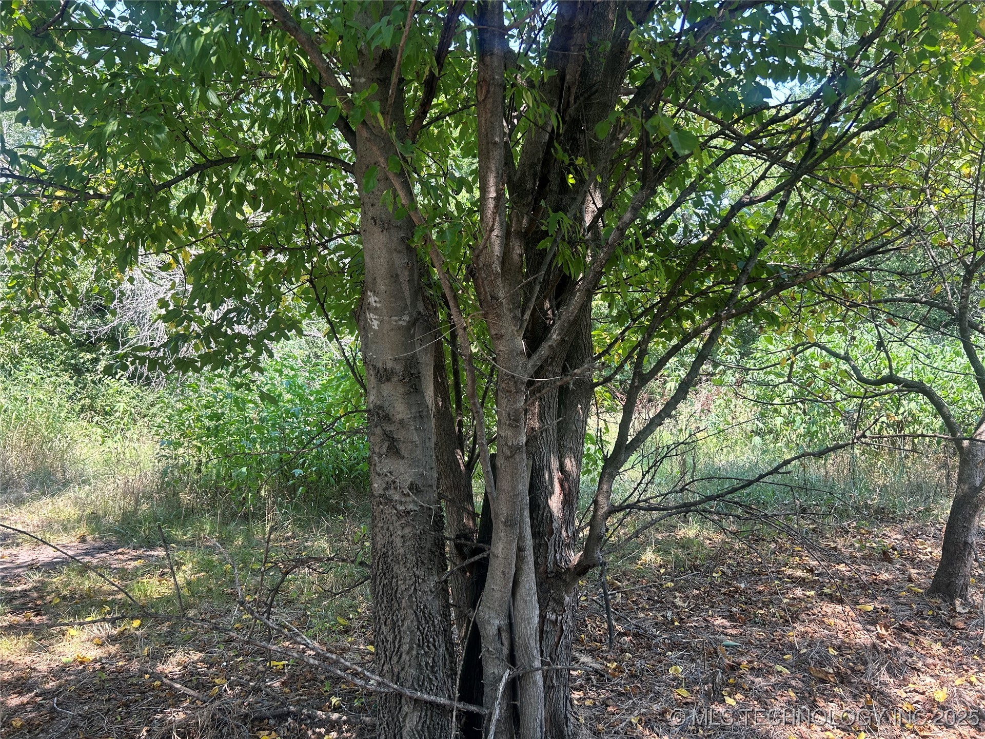 Euclid Avenue Property Photo 3