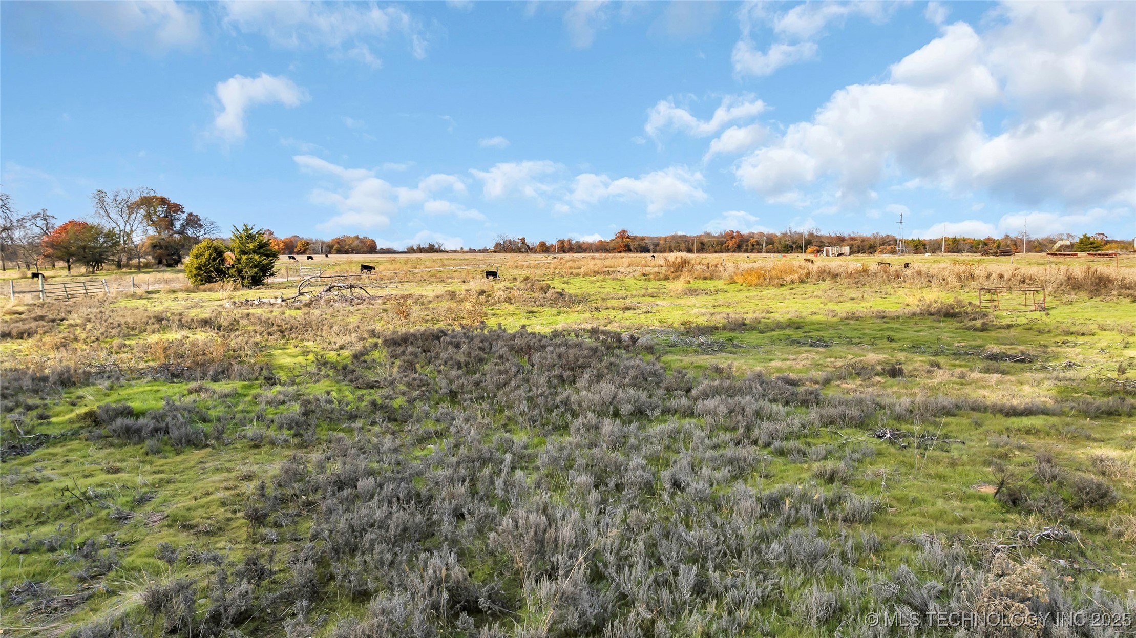 204 Bear Hollow Road Property Photo 44