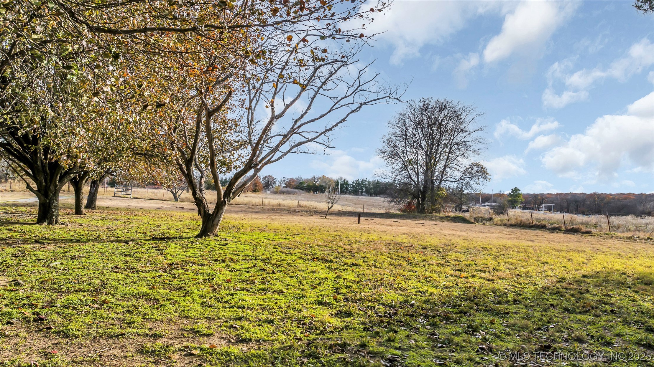 204 Bear Hollow Road Property Photo 46