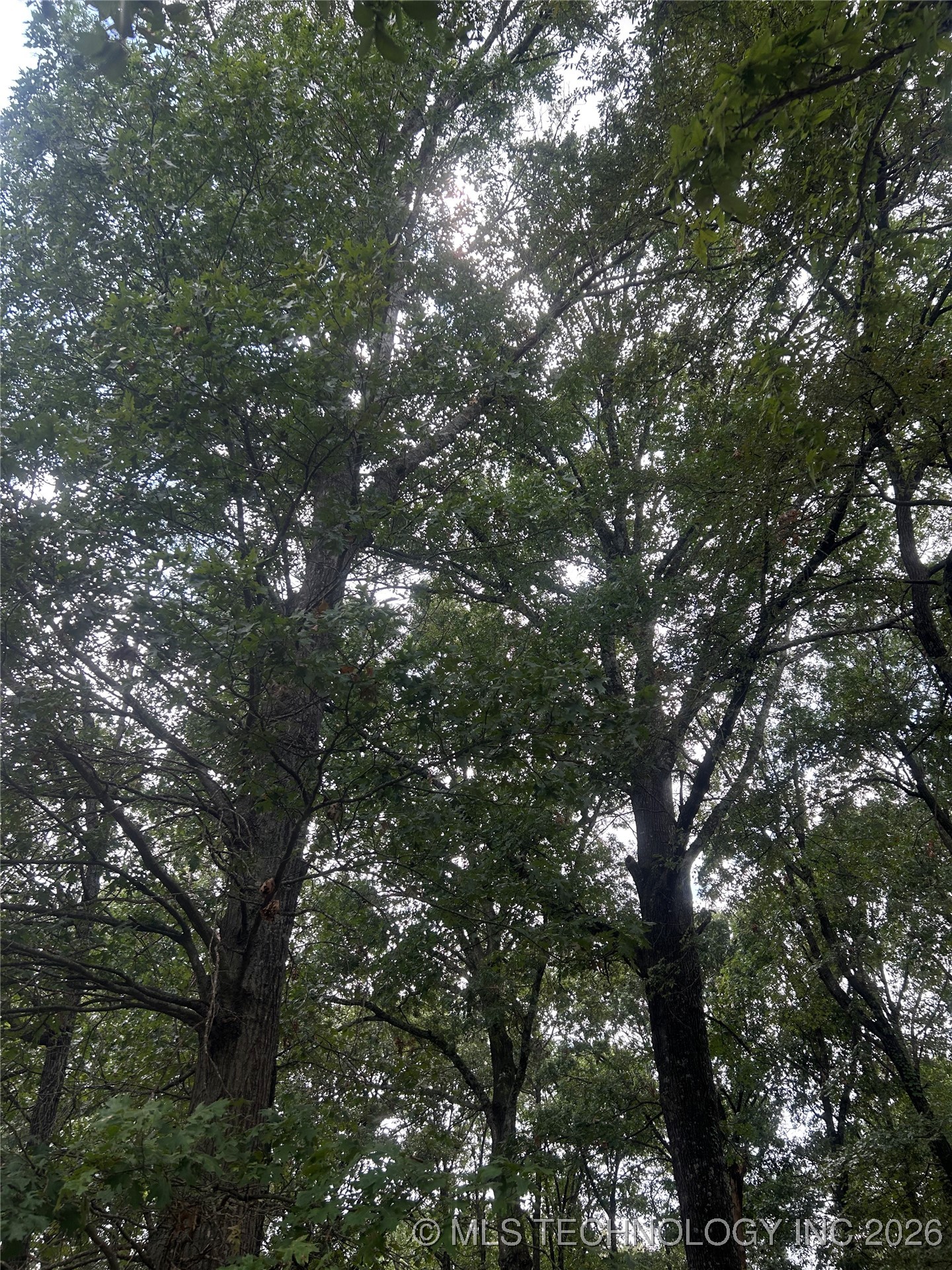 5301 Stonebriar Circle Property Photo 10