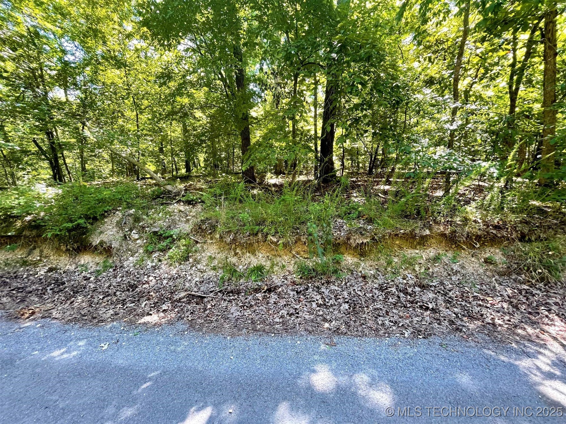 Alder Way Property Photo 2