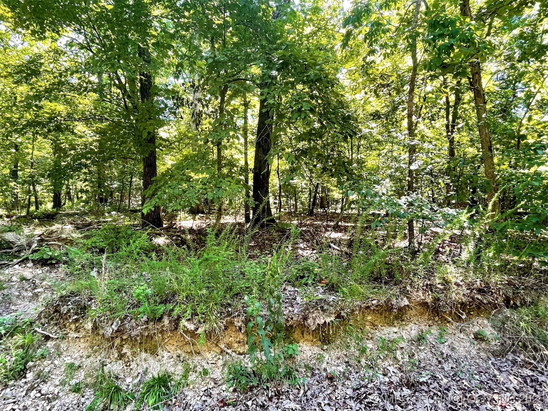 Alder Way Property Photo 3