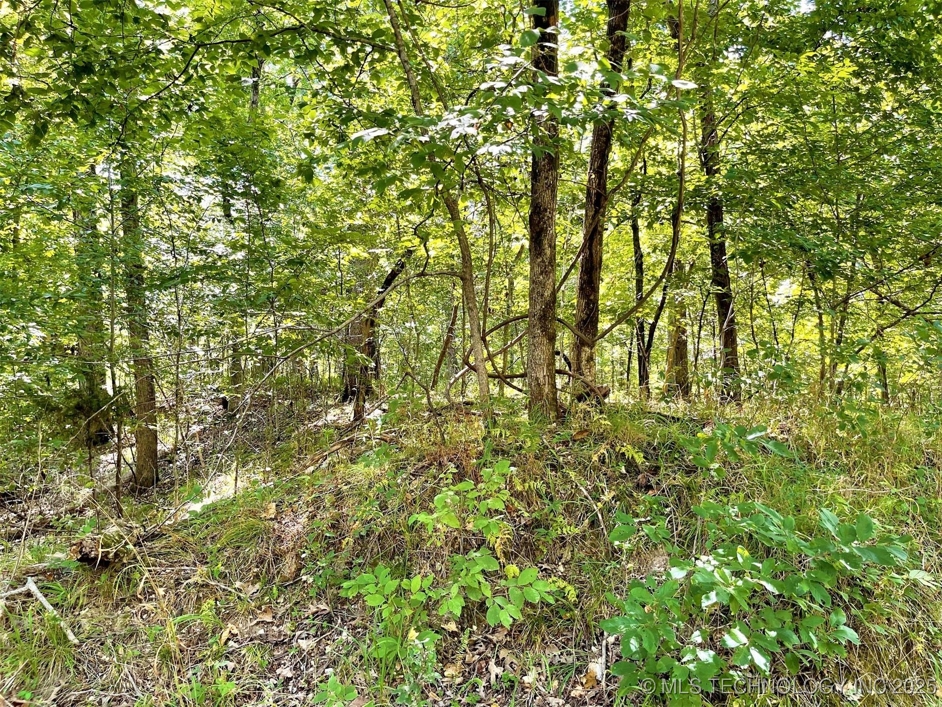 Alder Way Property Photo 4