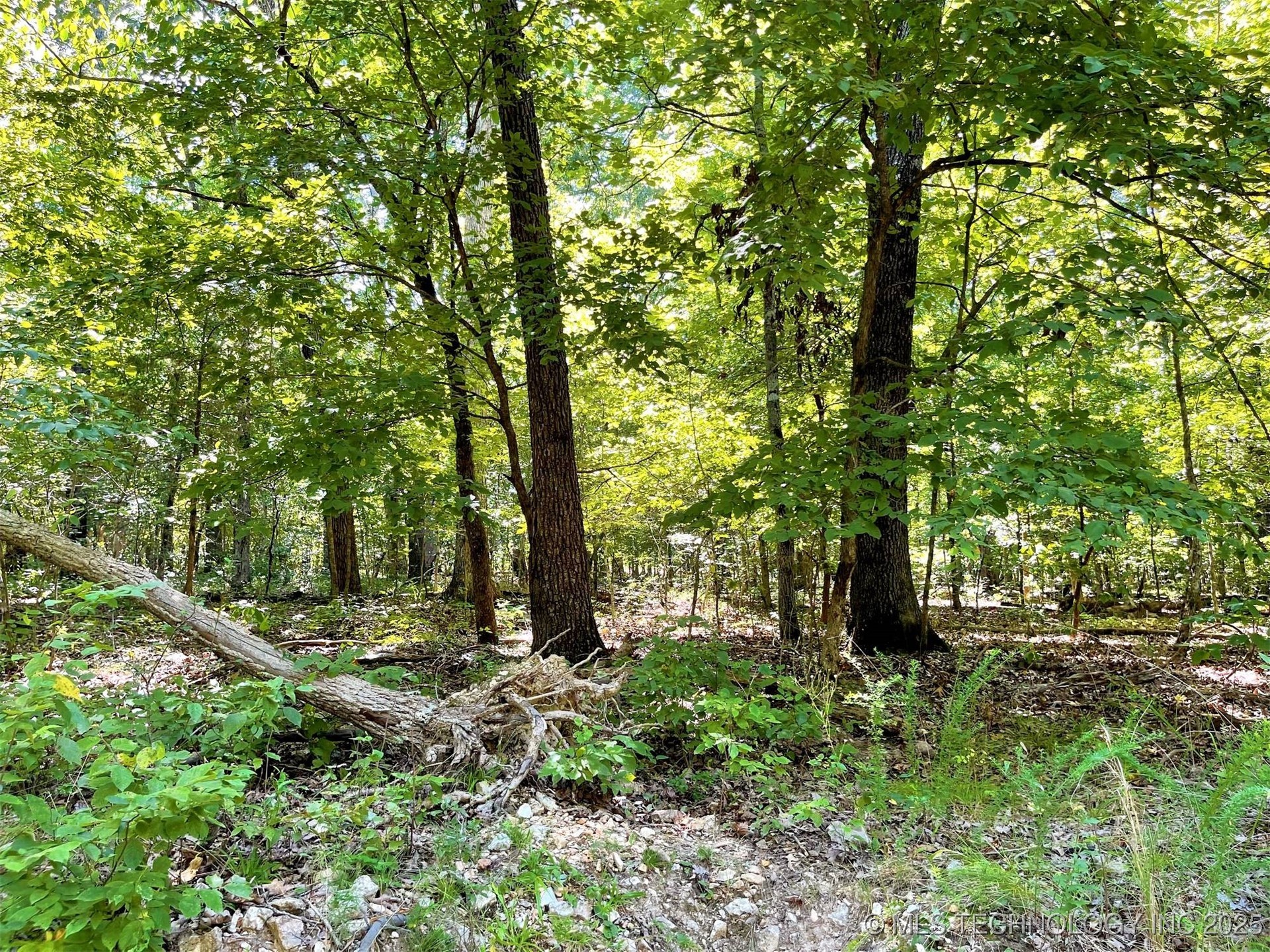 Alder Way Property Photo 5