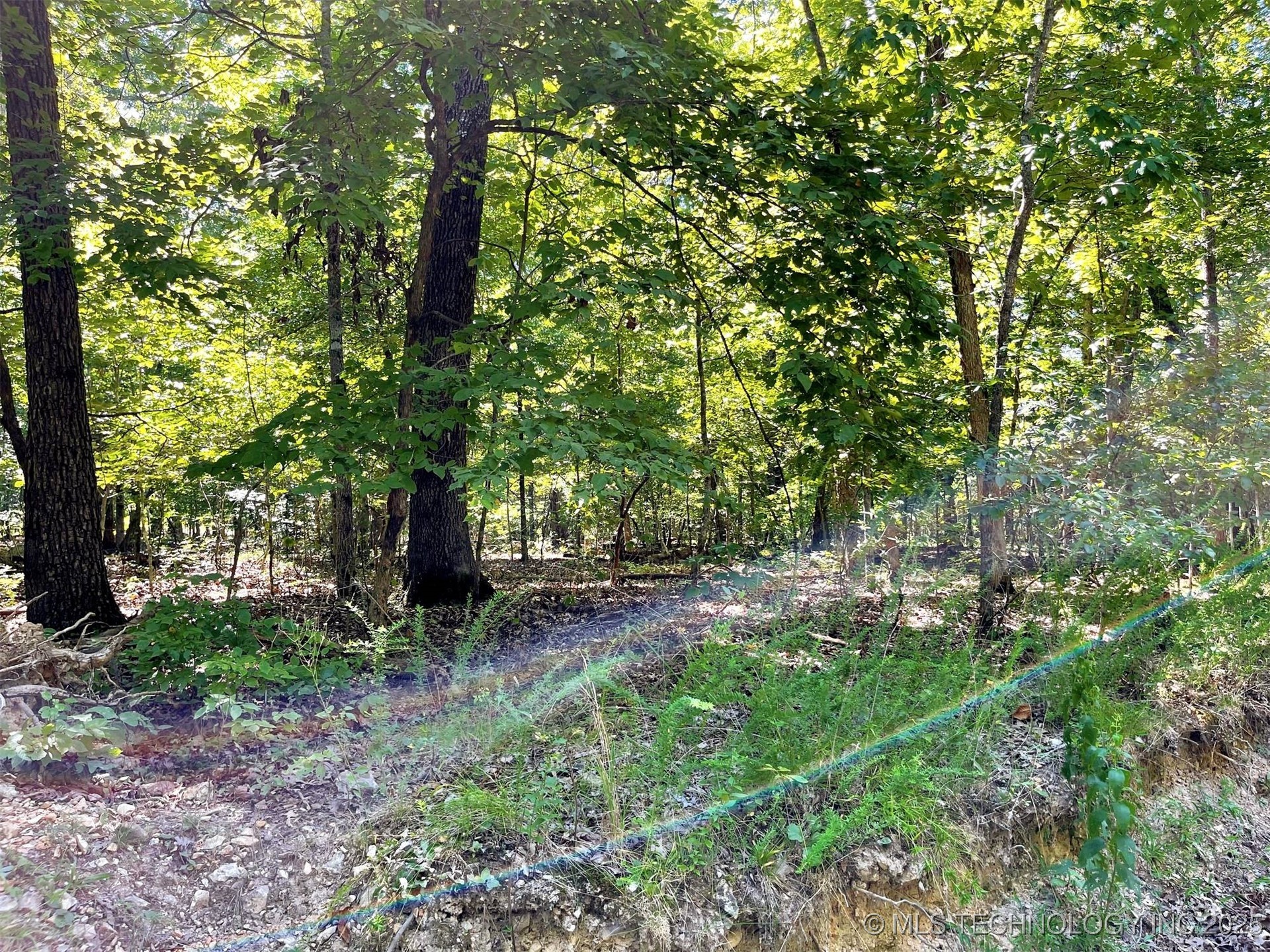 Alder Way Property Photo 6