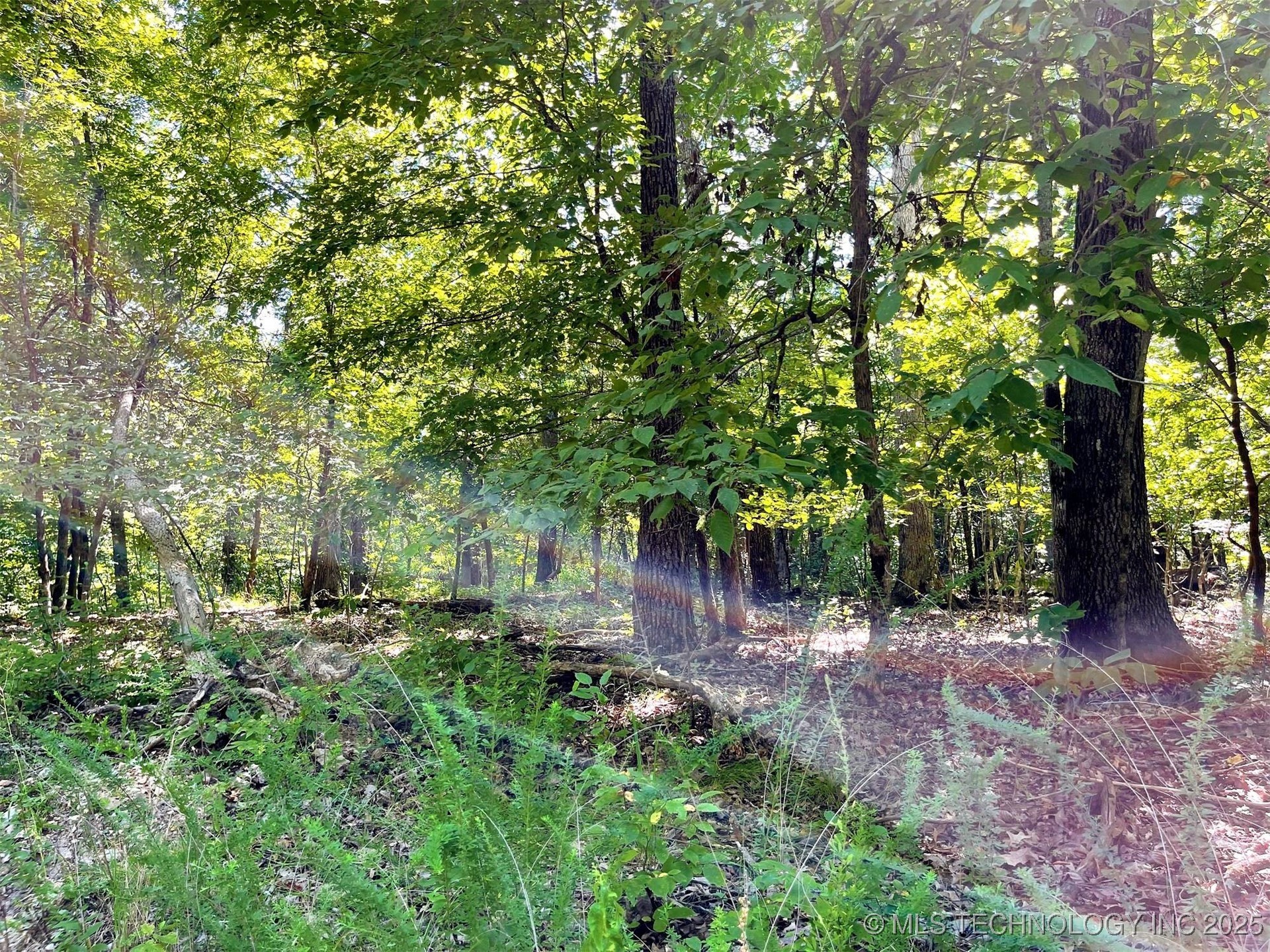 Alder Way Property Photo 7