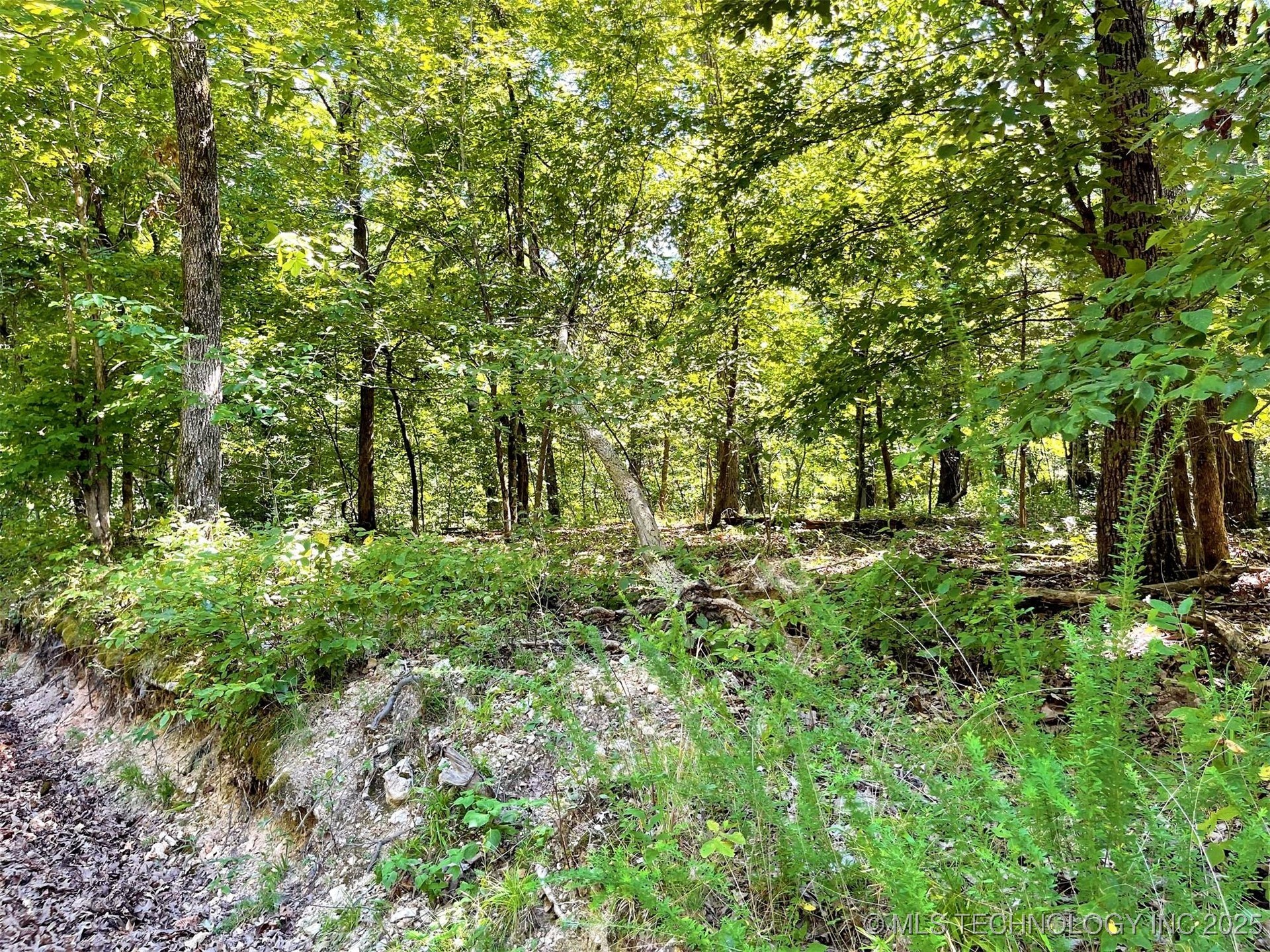 Alder Way Property Photo 8