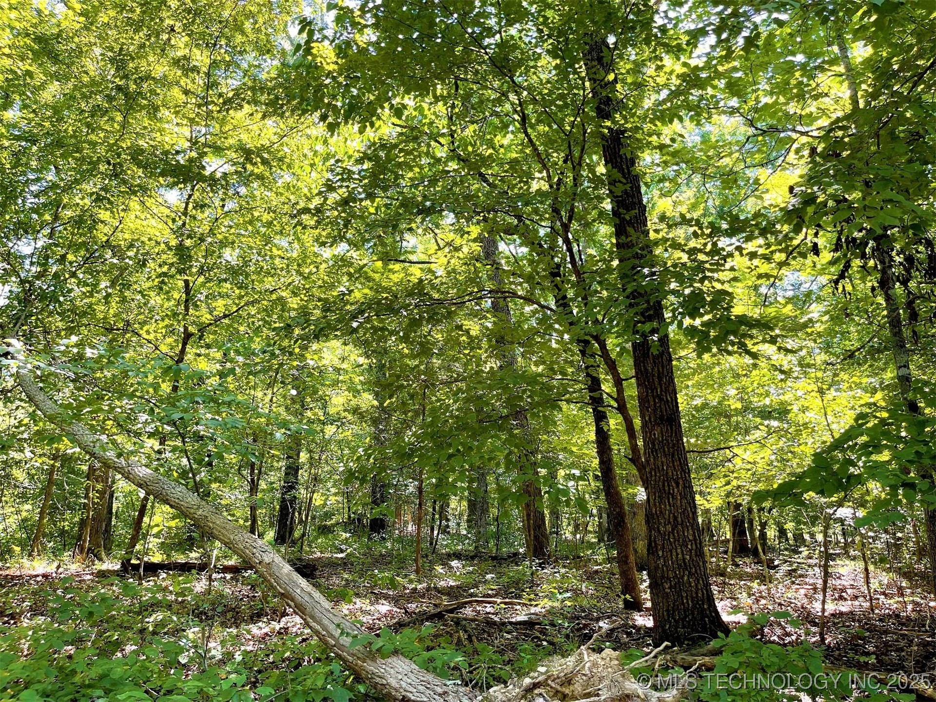 Alder Way Property Photo 9