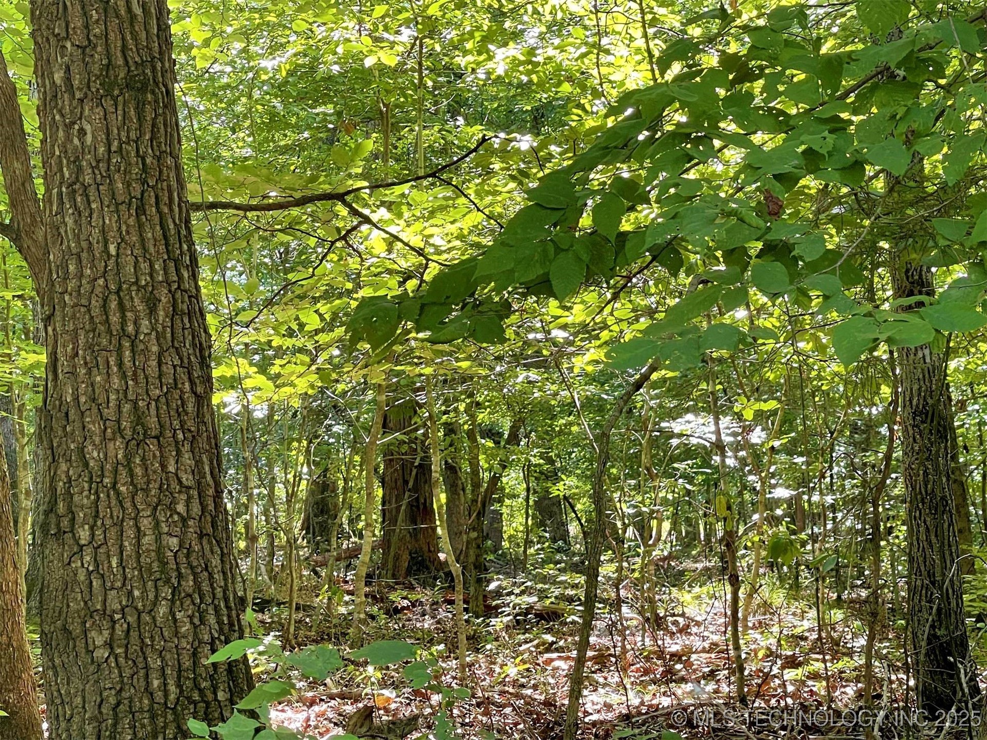 Alder Way Property Photo 10