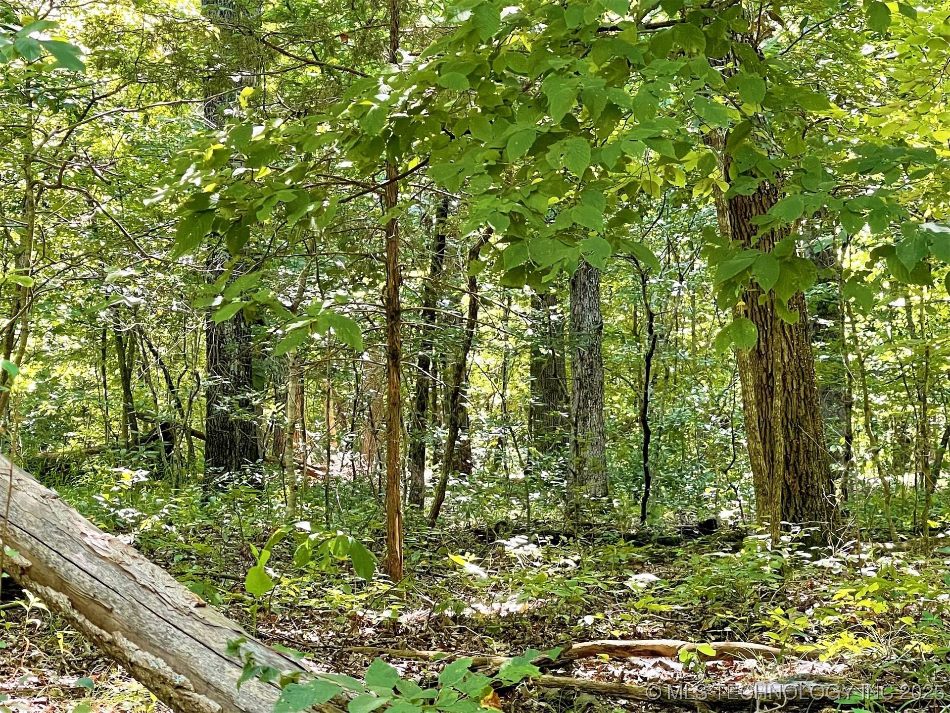 Alder Way Property Photo 11