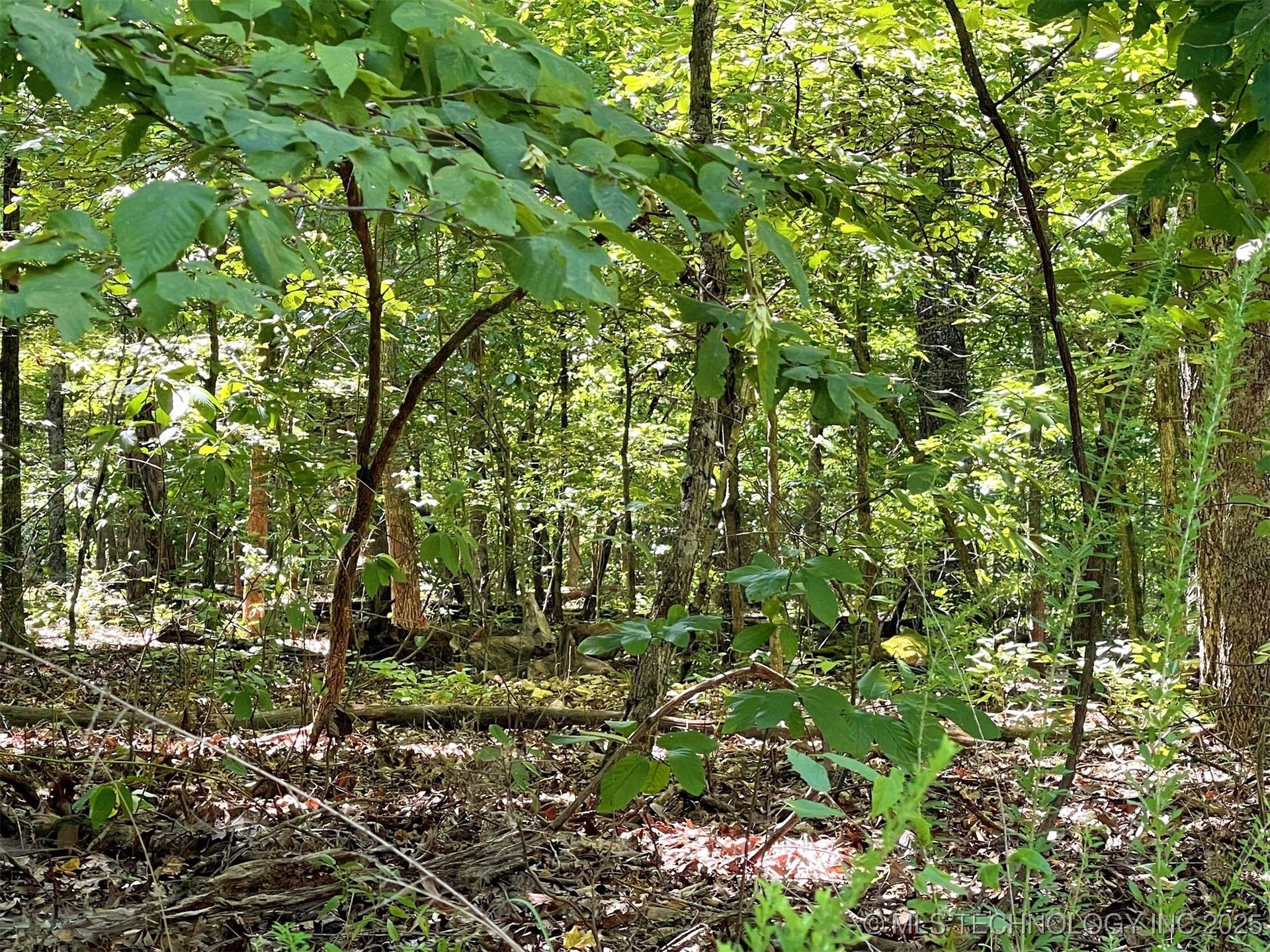 Alder Way Property Photo 12