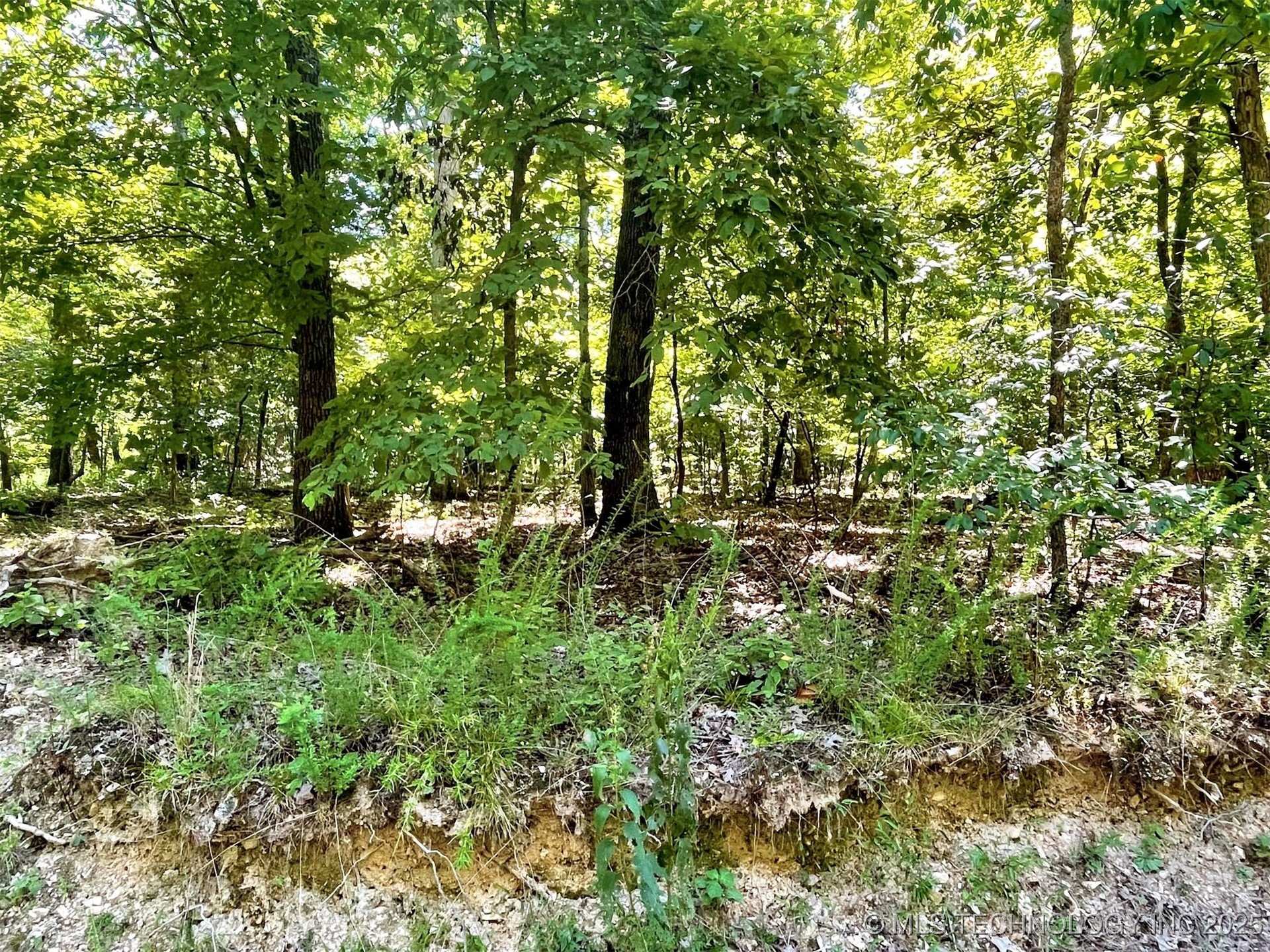 Alder Way Property Photo 13