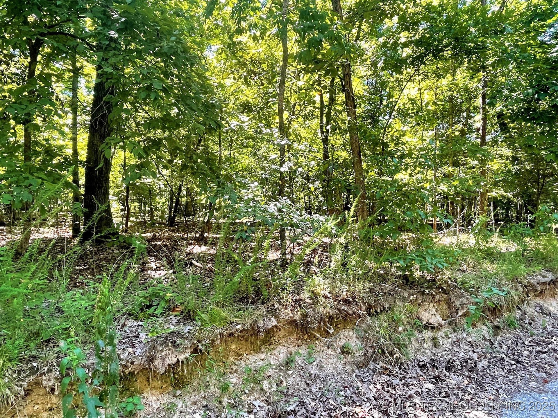 Alder Way Property Photo 14