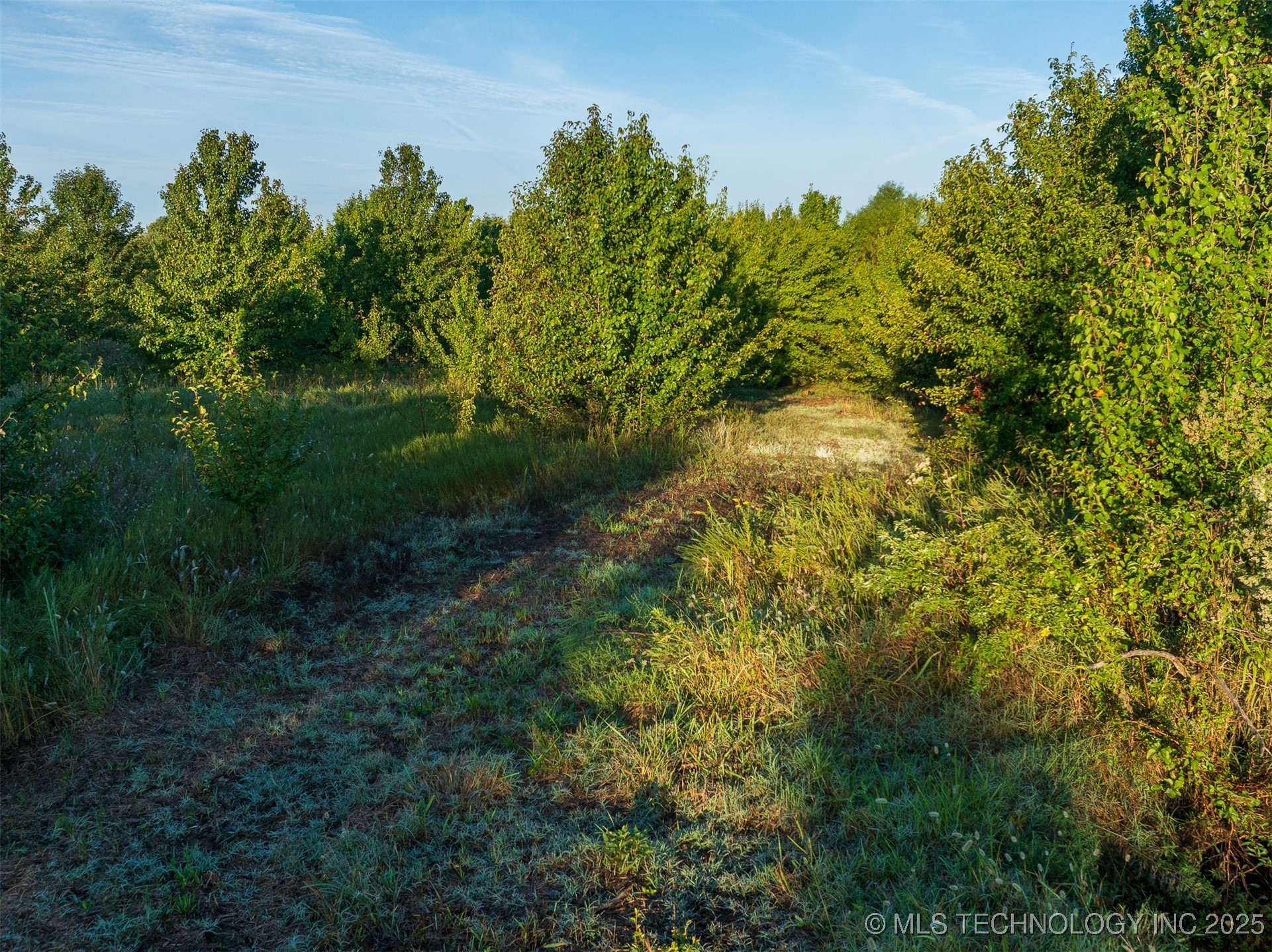 1 E 106th Street Property Photo 32