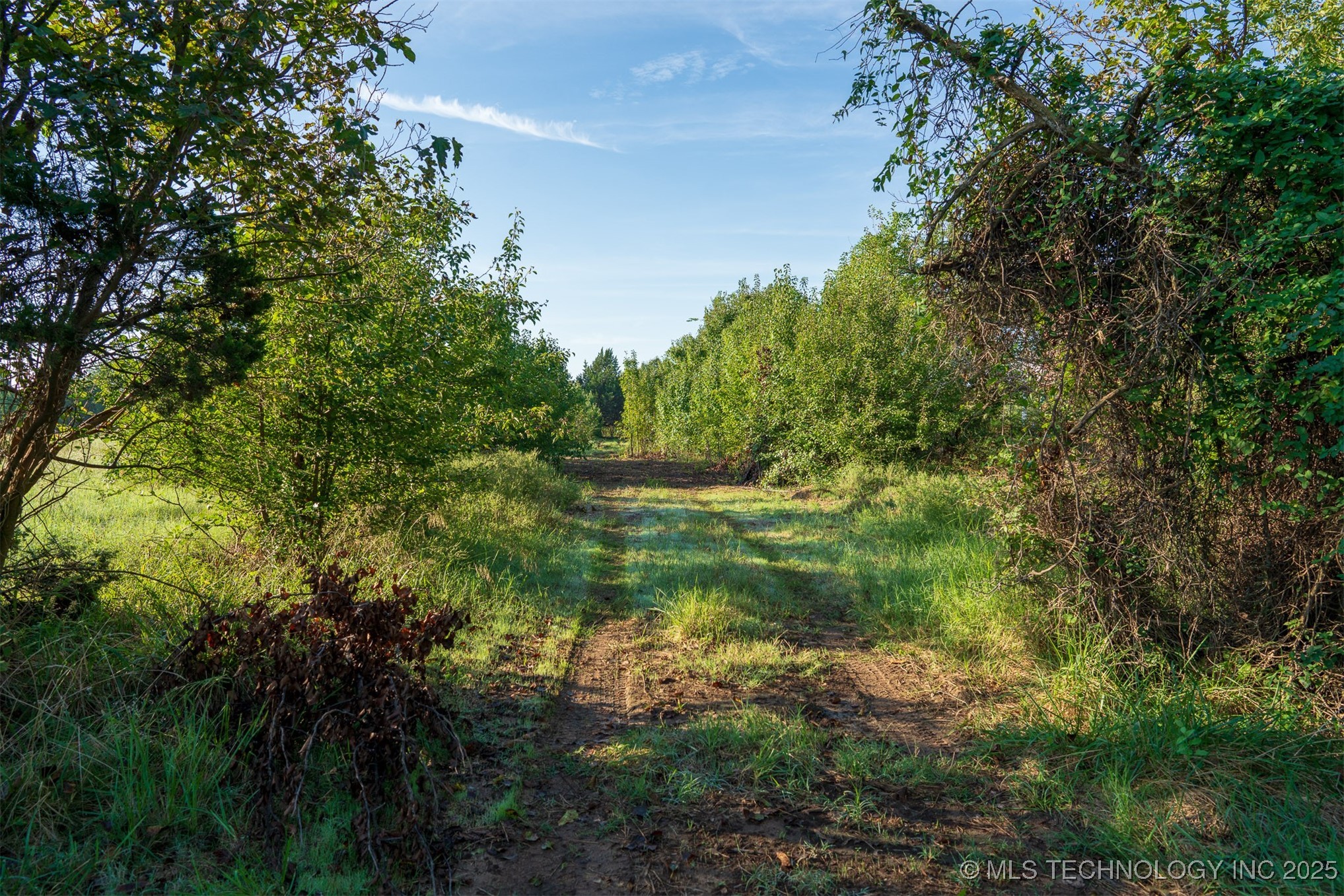 1 E 106th Street Property Photo 42