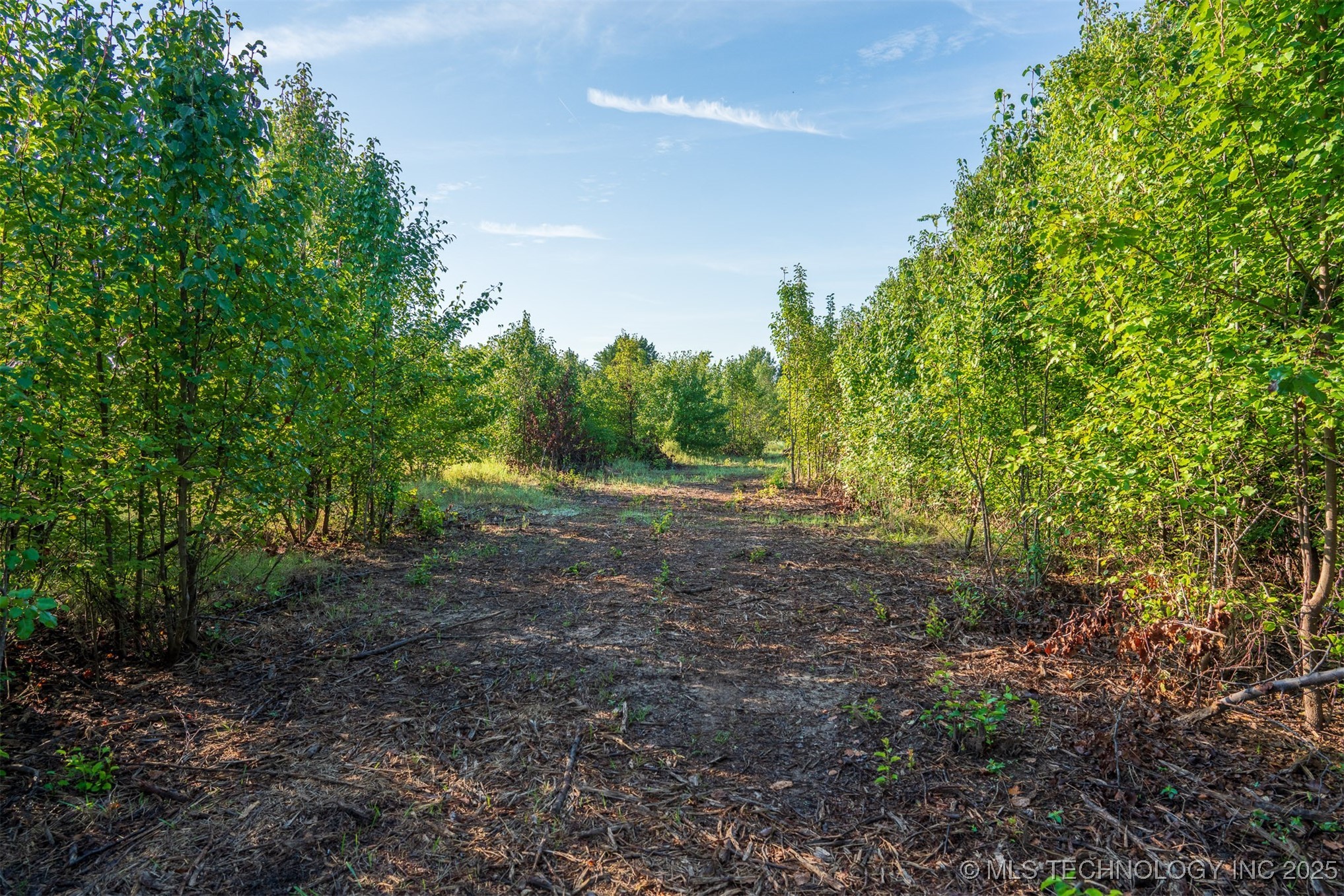 1 E 106th Street Property Photo 43