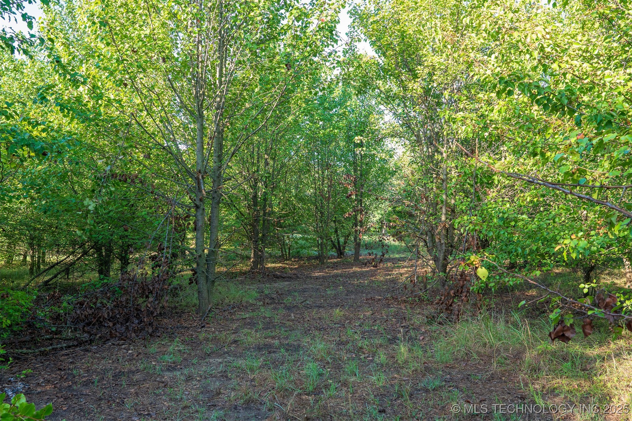 1 E 106th Street Property Photo 47