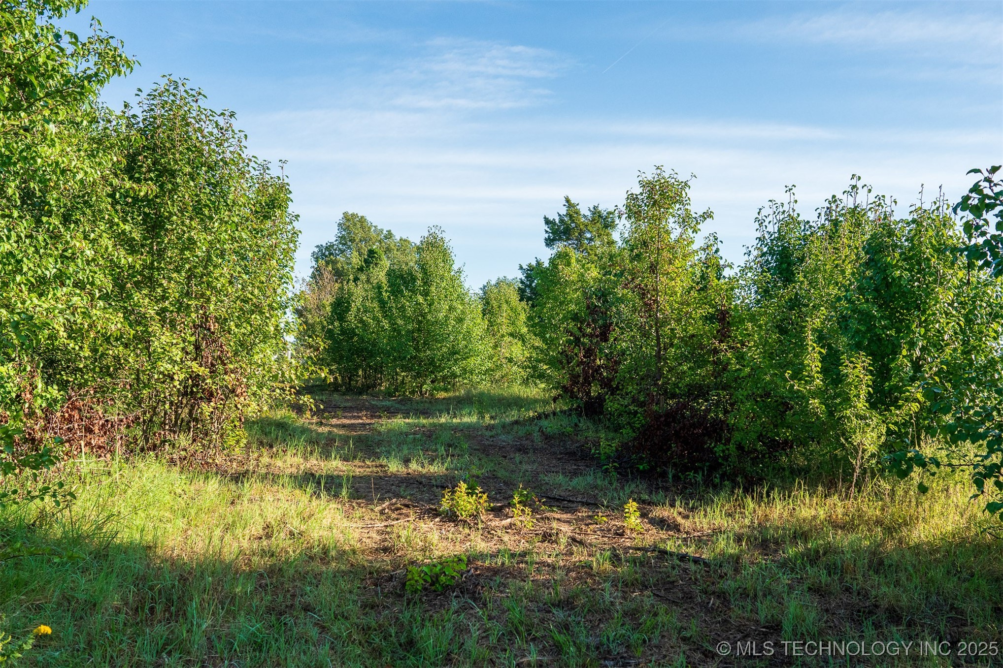 1 E 106th Street Property Photo 48