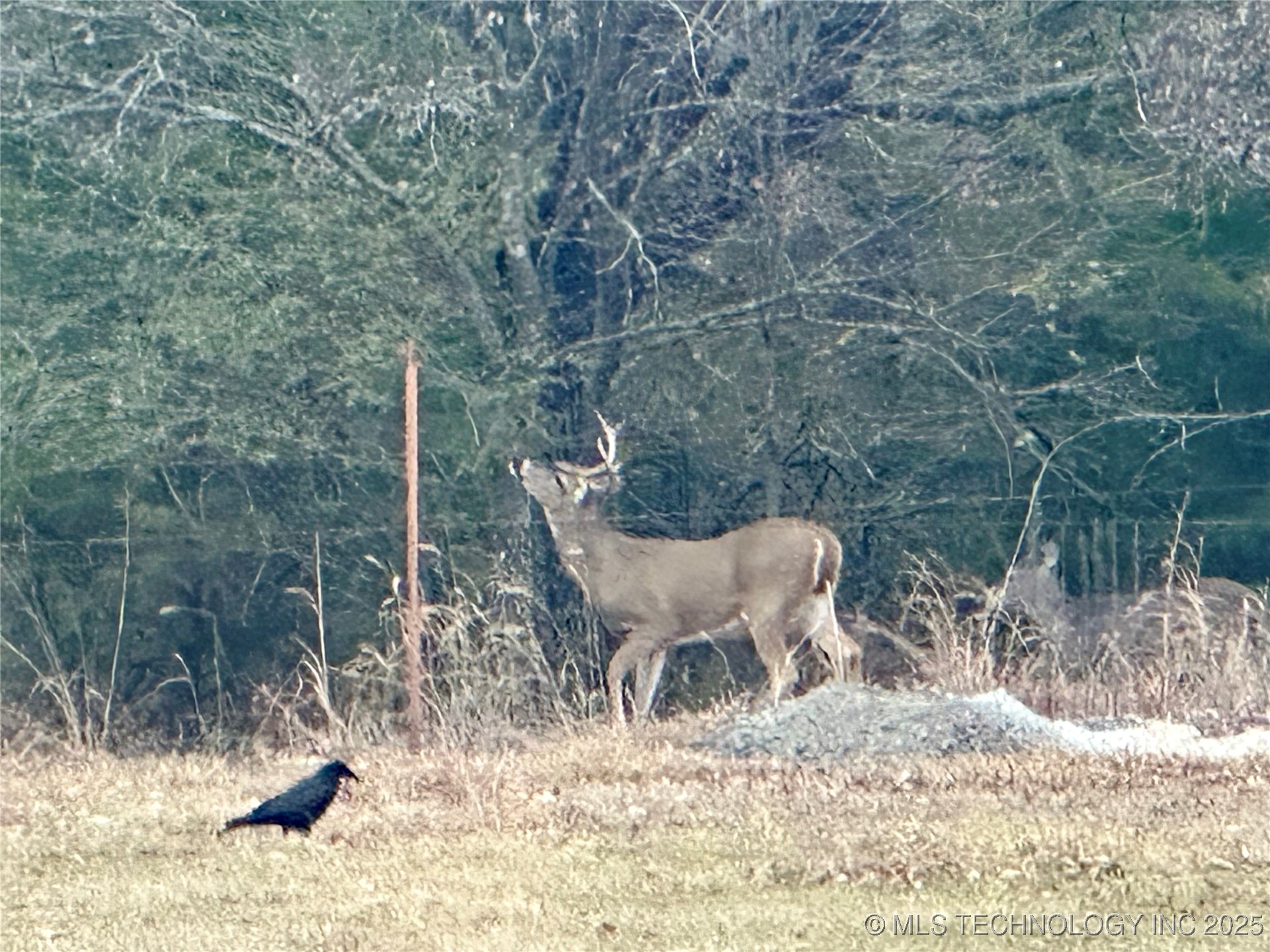 403000 W 2150 Drive Property Photo 70
