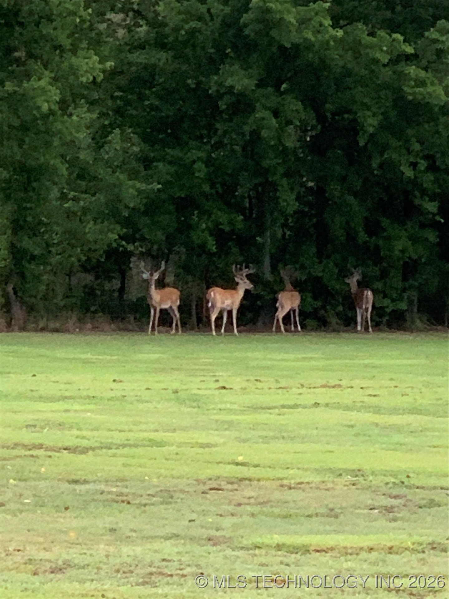 403000 W 2150 Drive Property Photo 71