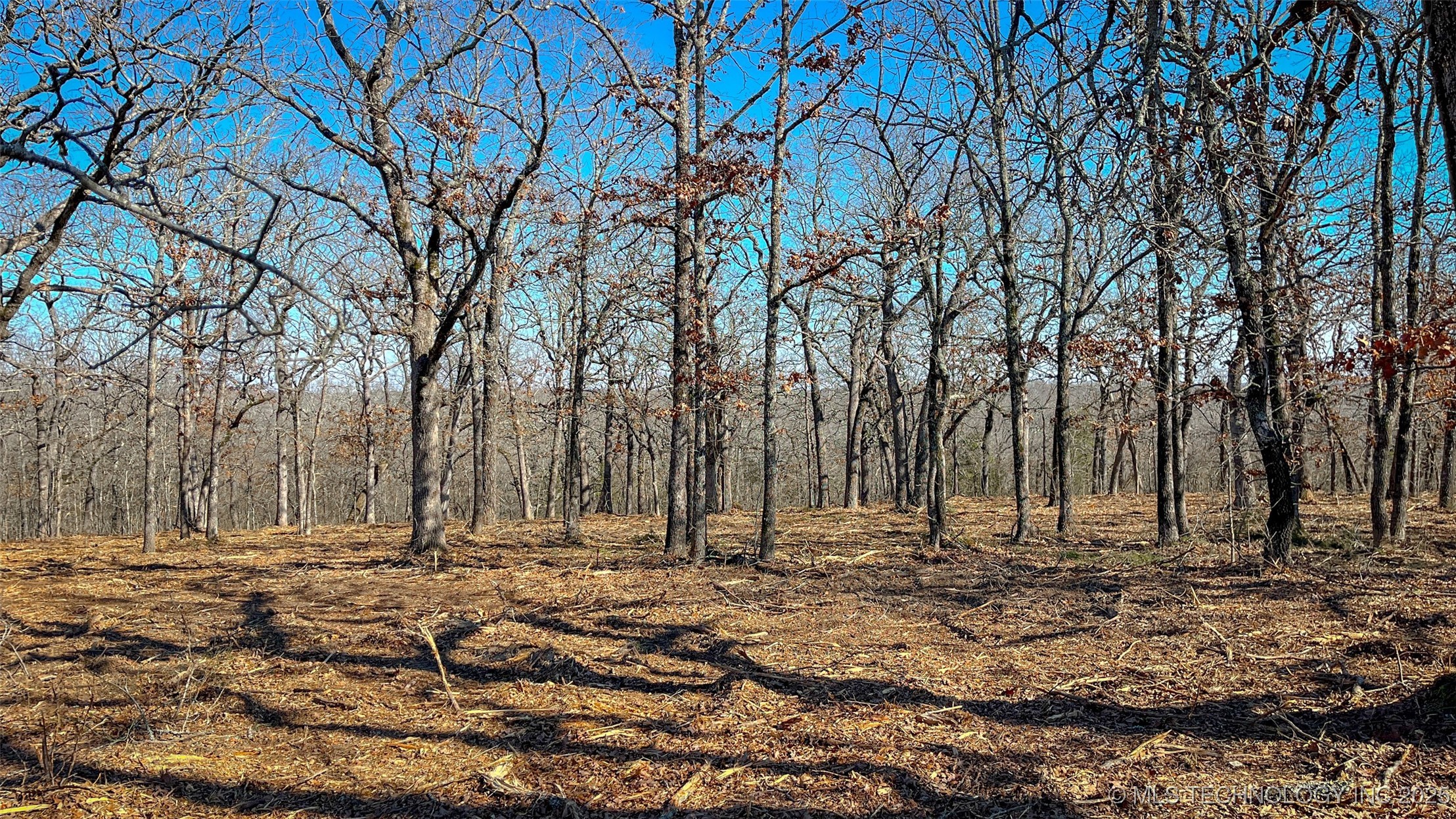 0 County Road 3630 Property Photo 1