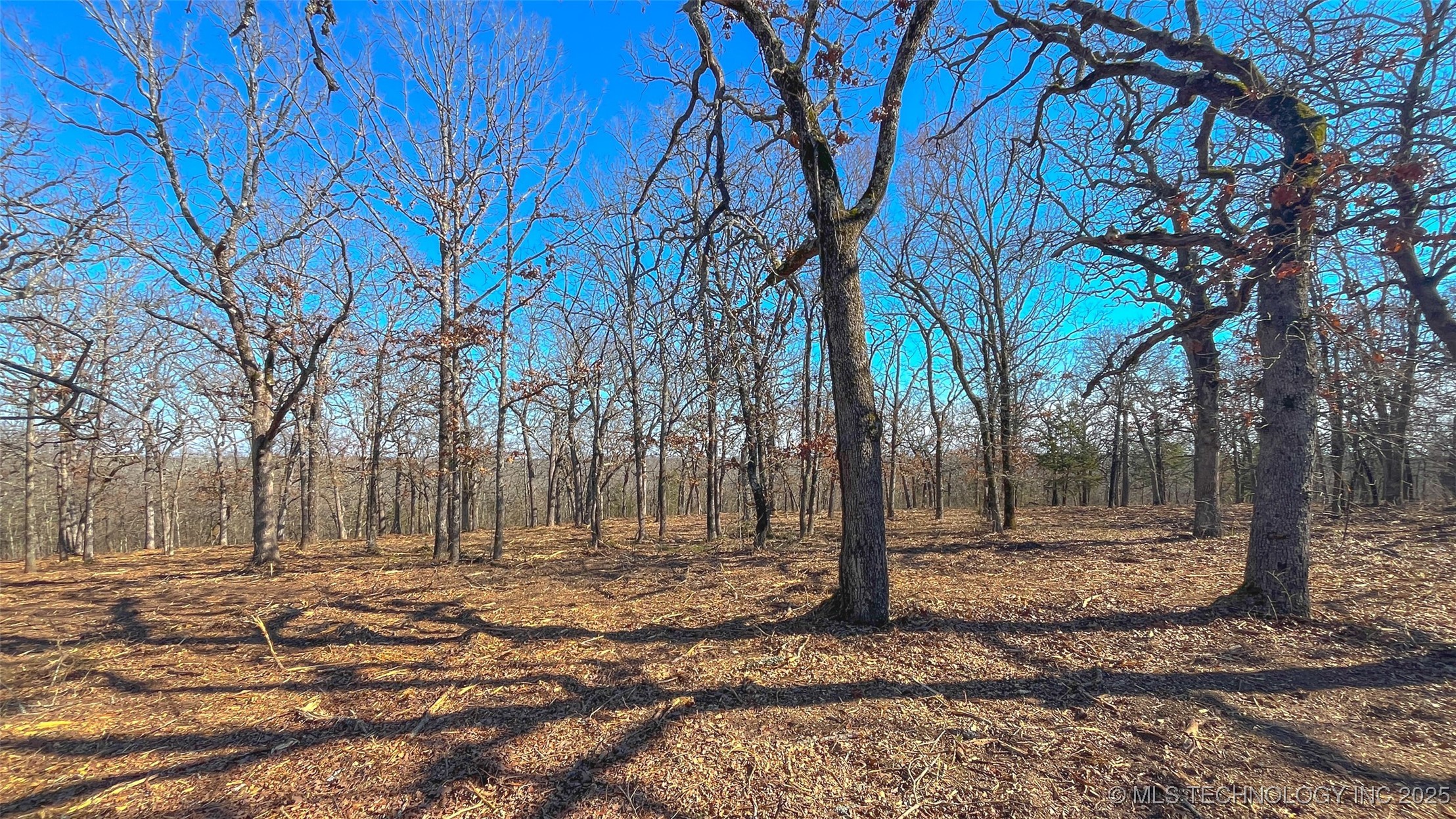 0 County Road 3630 Property Photo 2