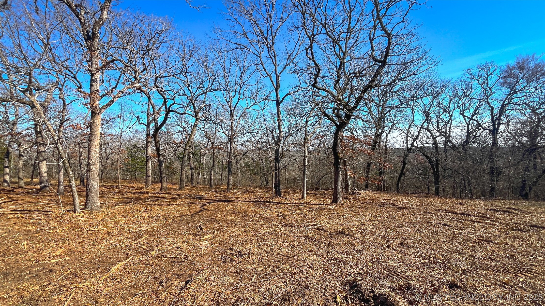 0 County Road 3630 Property Photo 4