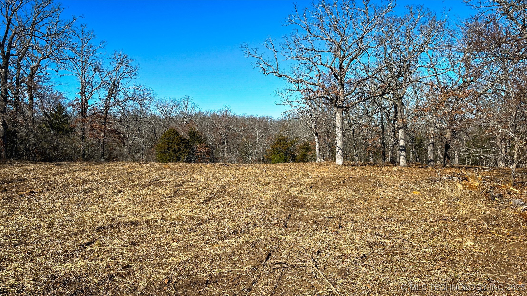 0 County Road 3630 Property Photo 5
