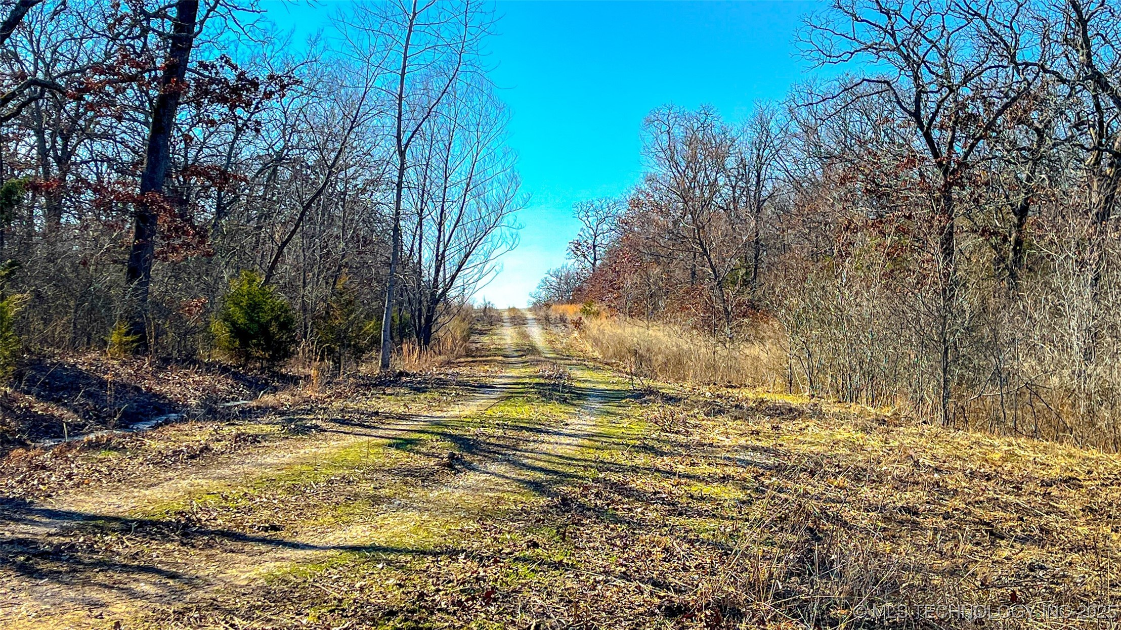 0 County Road 3630 Property Photo 6