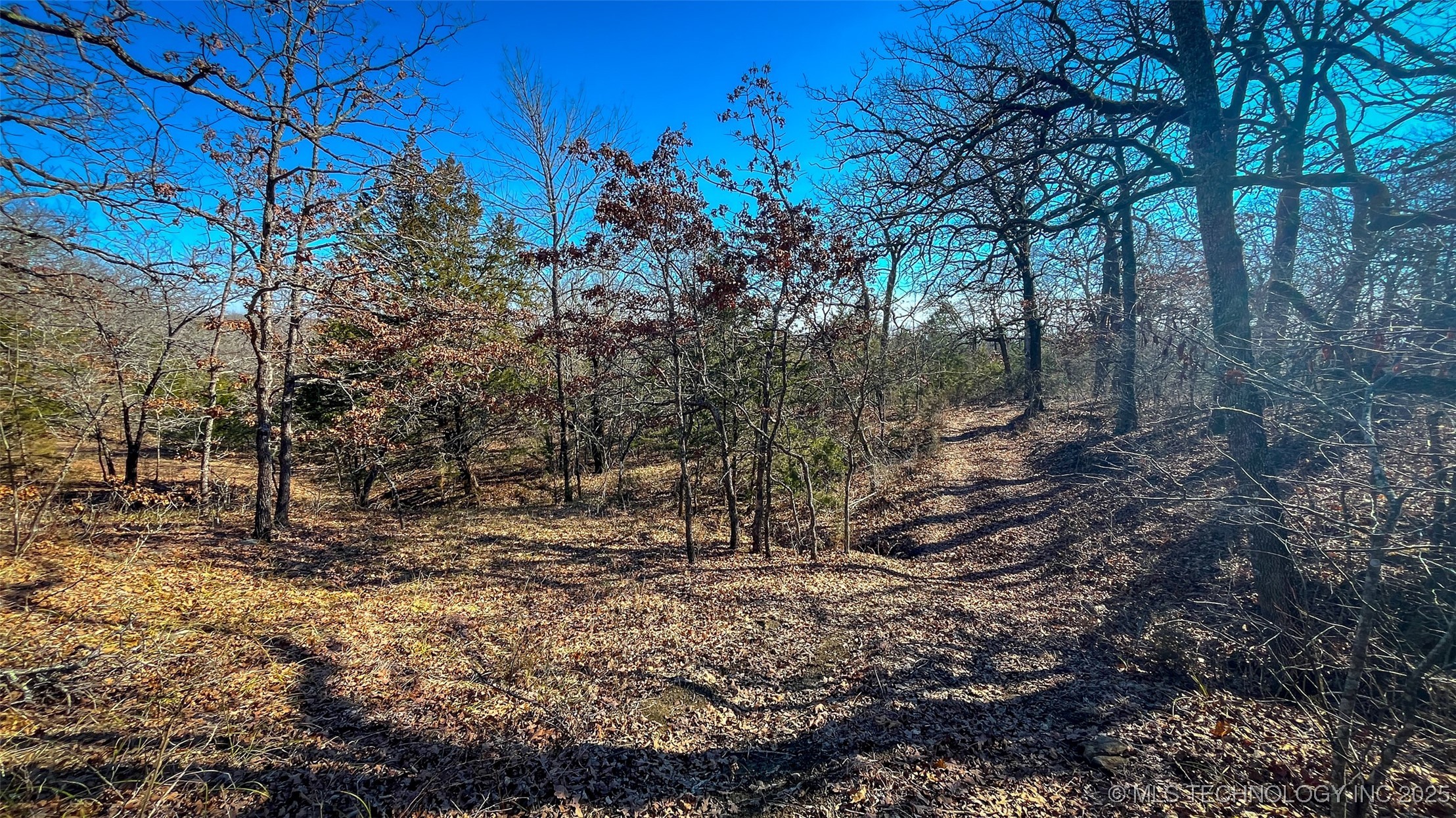 0 County Road 3630 Property Photo 7