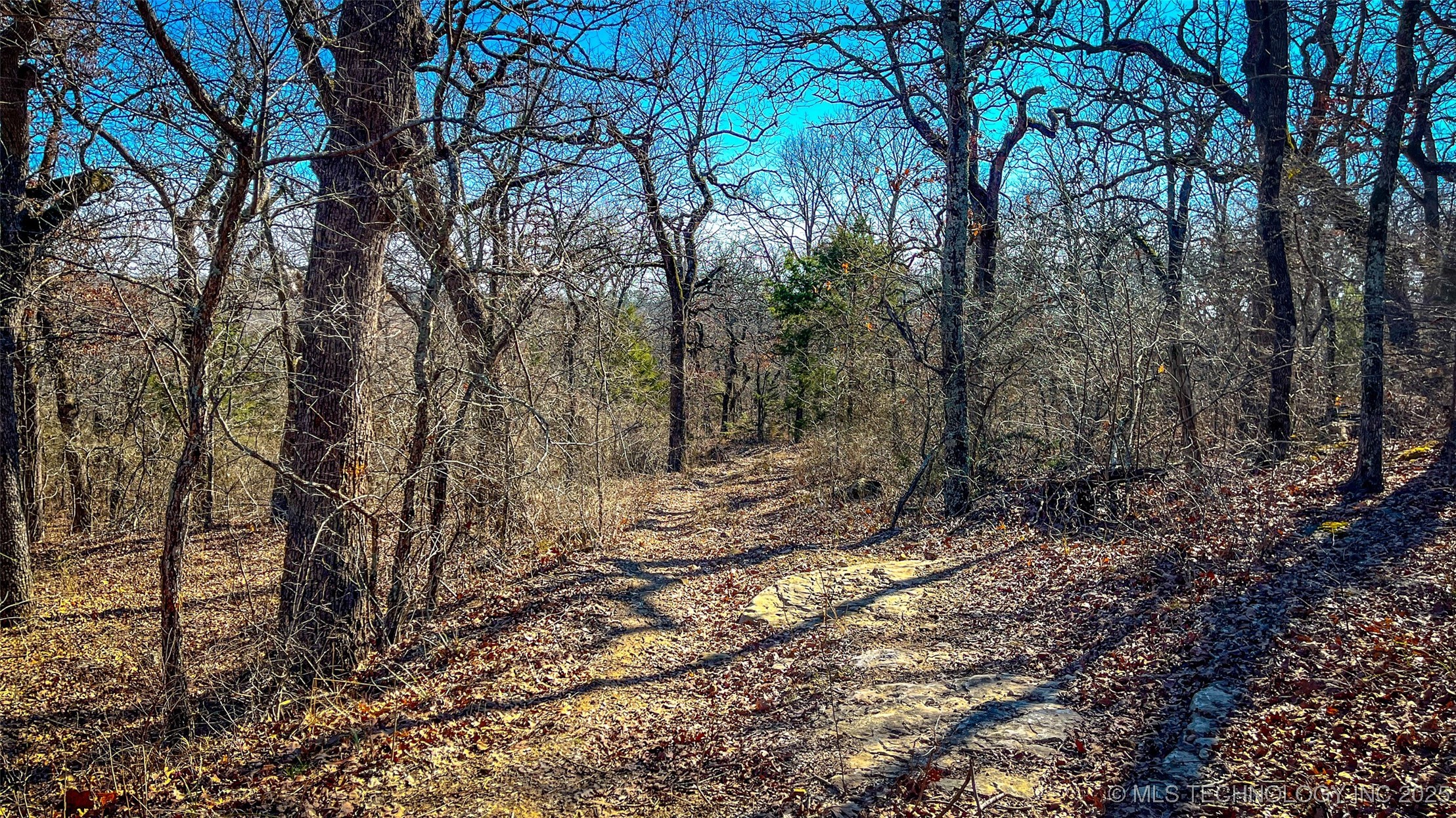 0 County Road 3630 Property Photo 8