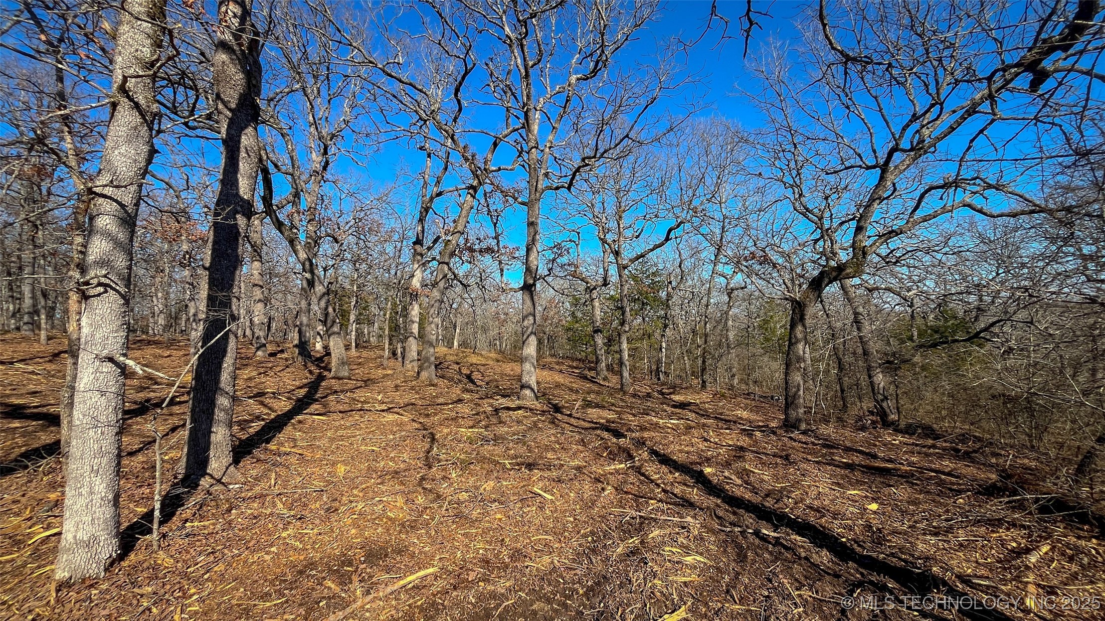 0 County Road 3630 Property Photo 9