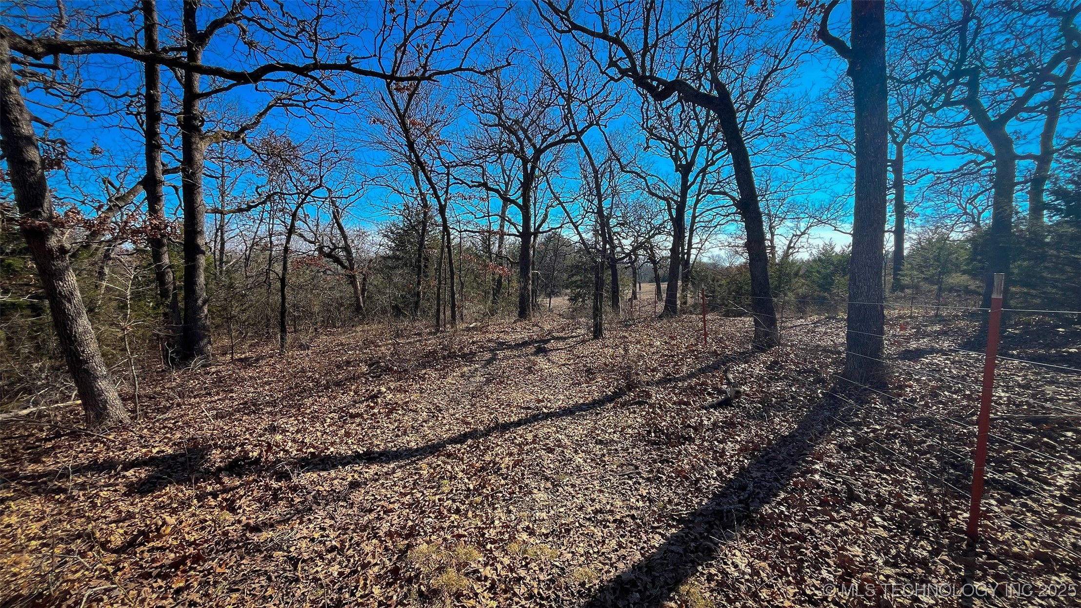 0 County Road 3630 Property Photo 11