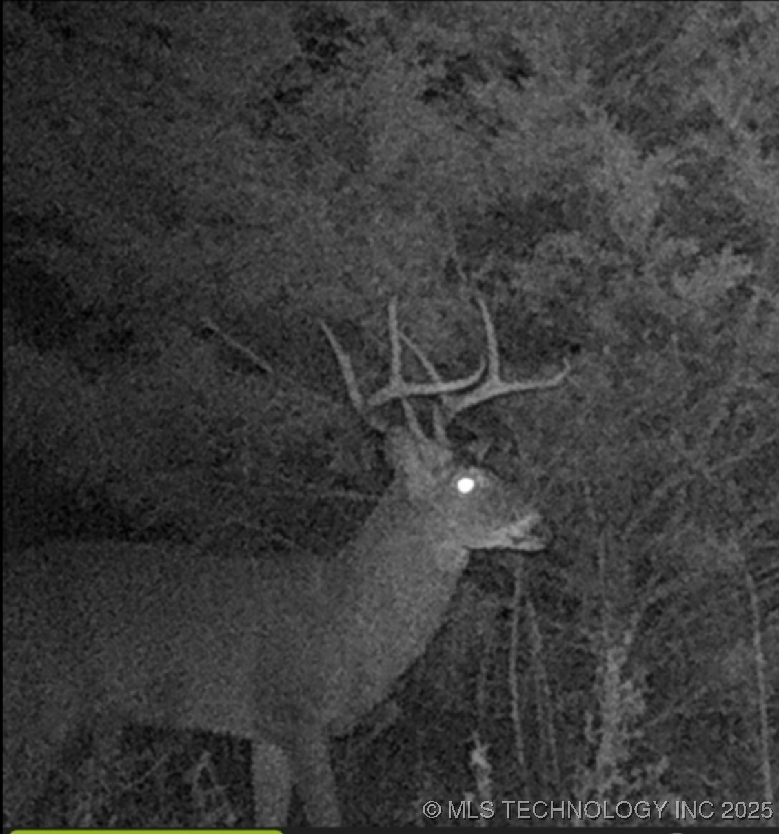 0 County Road 3630 Property Photo 16