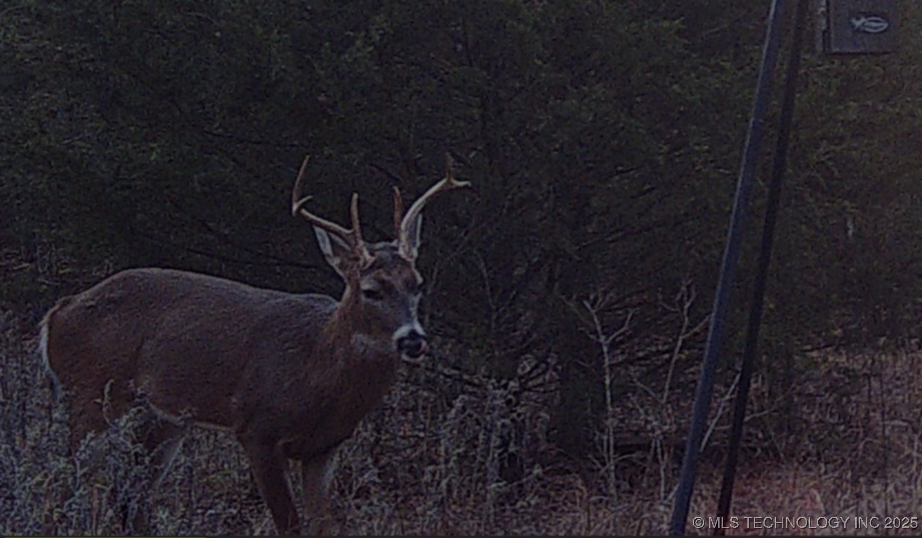 0 County Road 3630 Property Photo 17