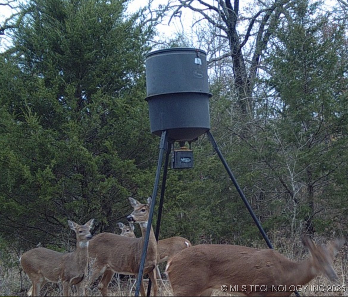 0 County Road 3630 Property Photo 18