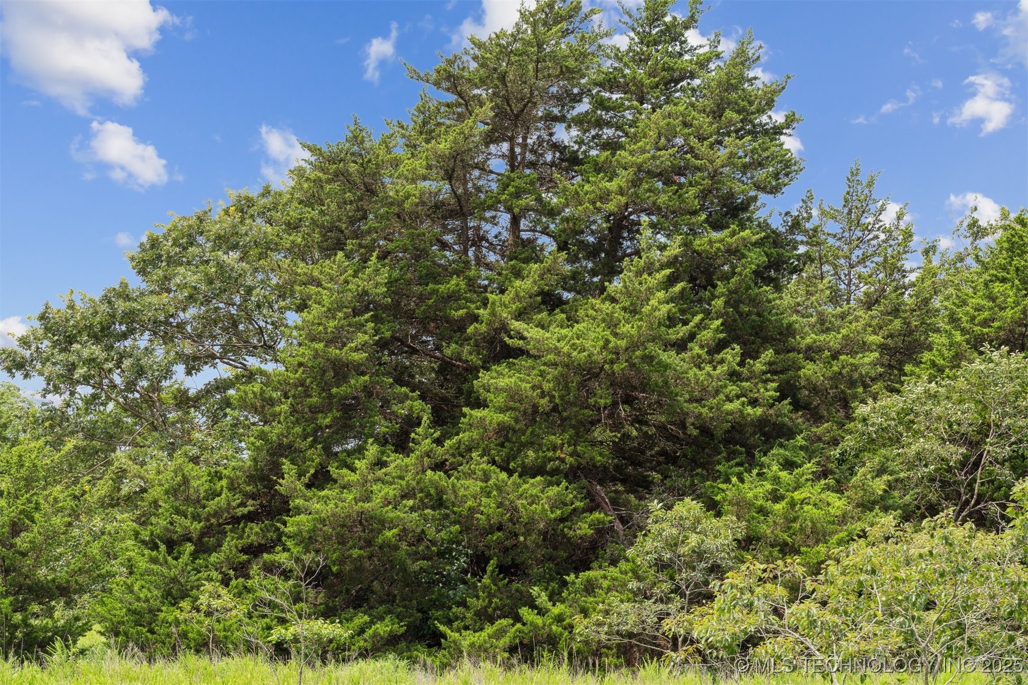 350345 5600 Road Property Photo 9