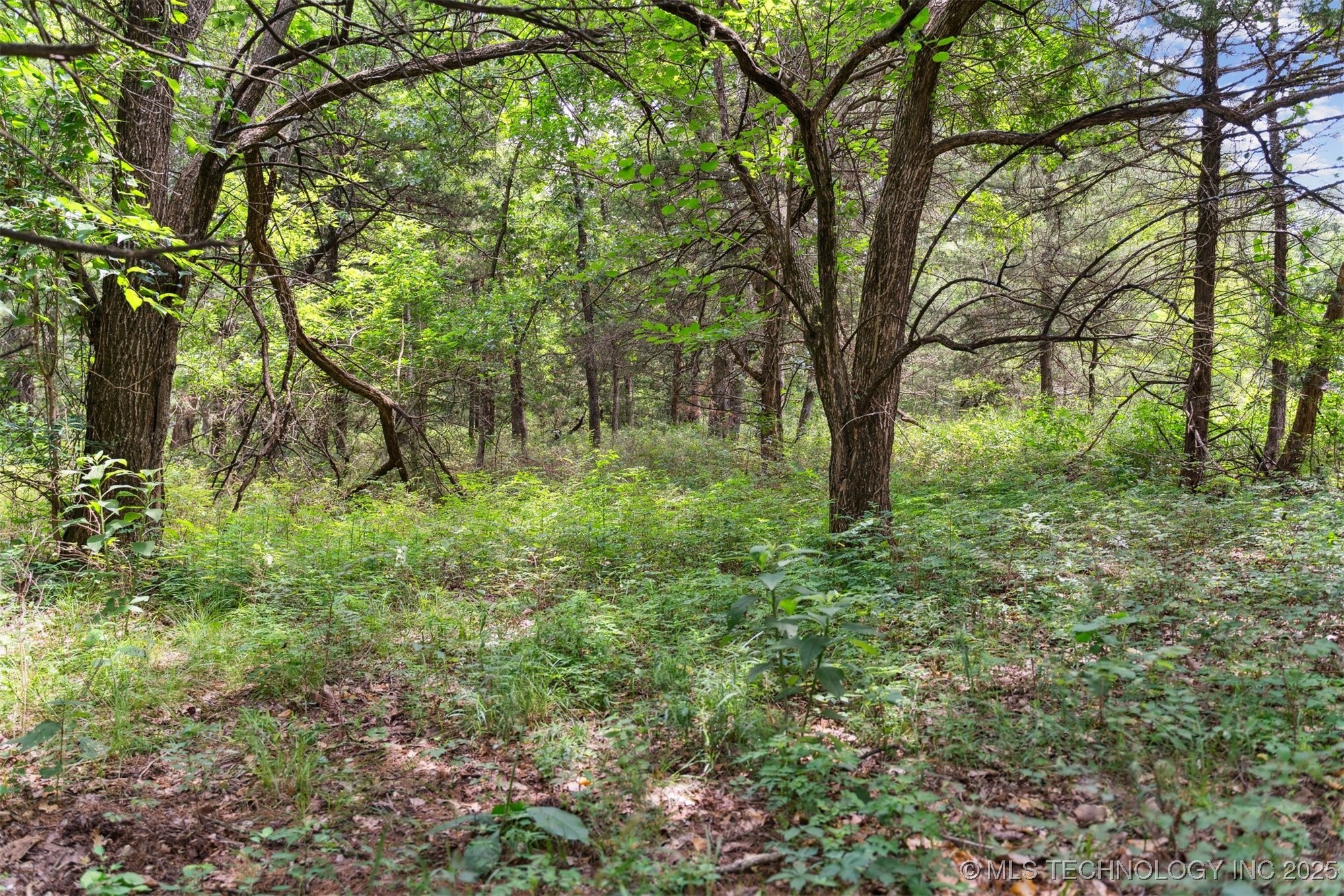 350345 5600 Road Property Photo 11