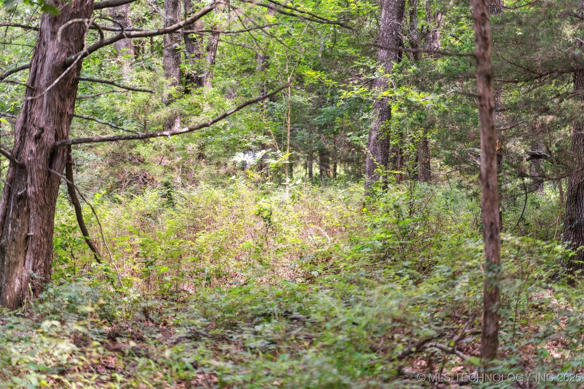 350345 5600 Road Property Photo 14