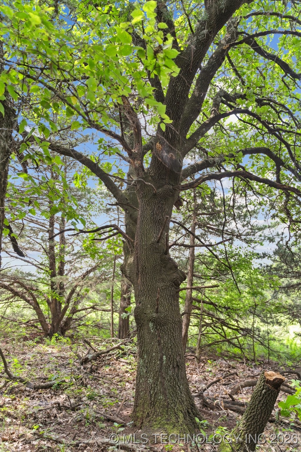 350345 5600 Road Property Photo 15