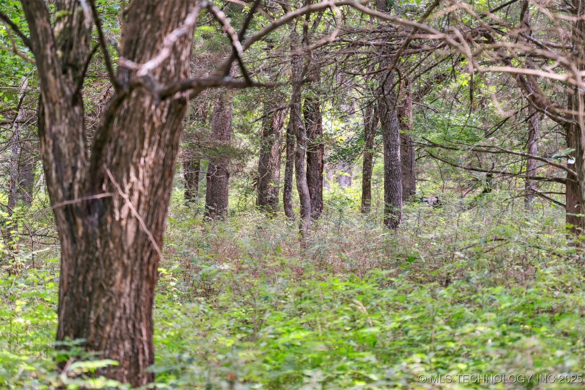 350345 5600 Road Property Photo 17