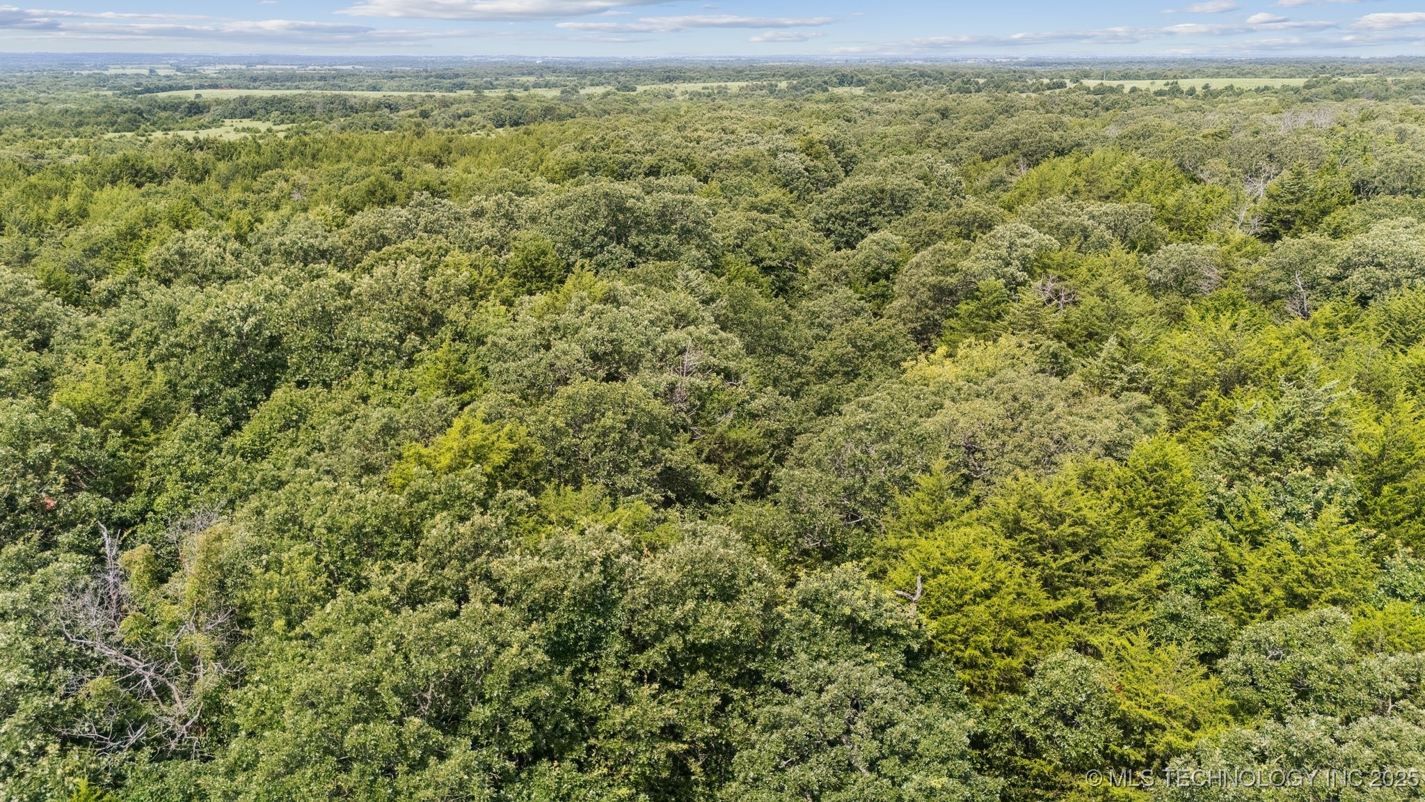 350345 5600 Road Property Photo 19