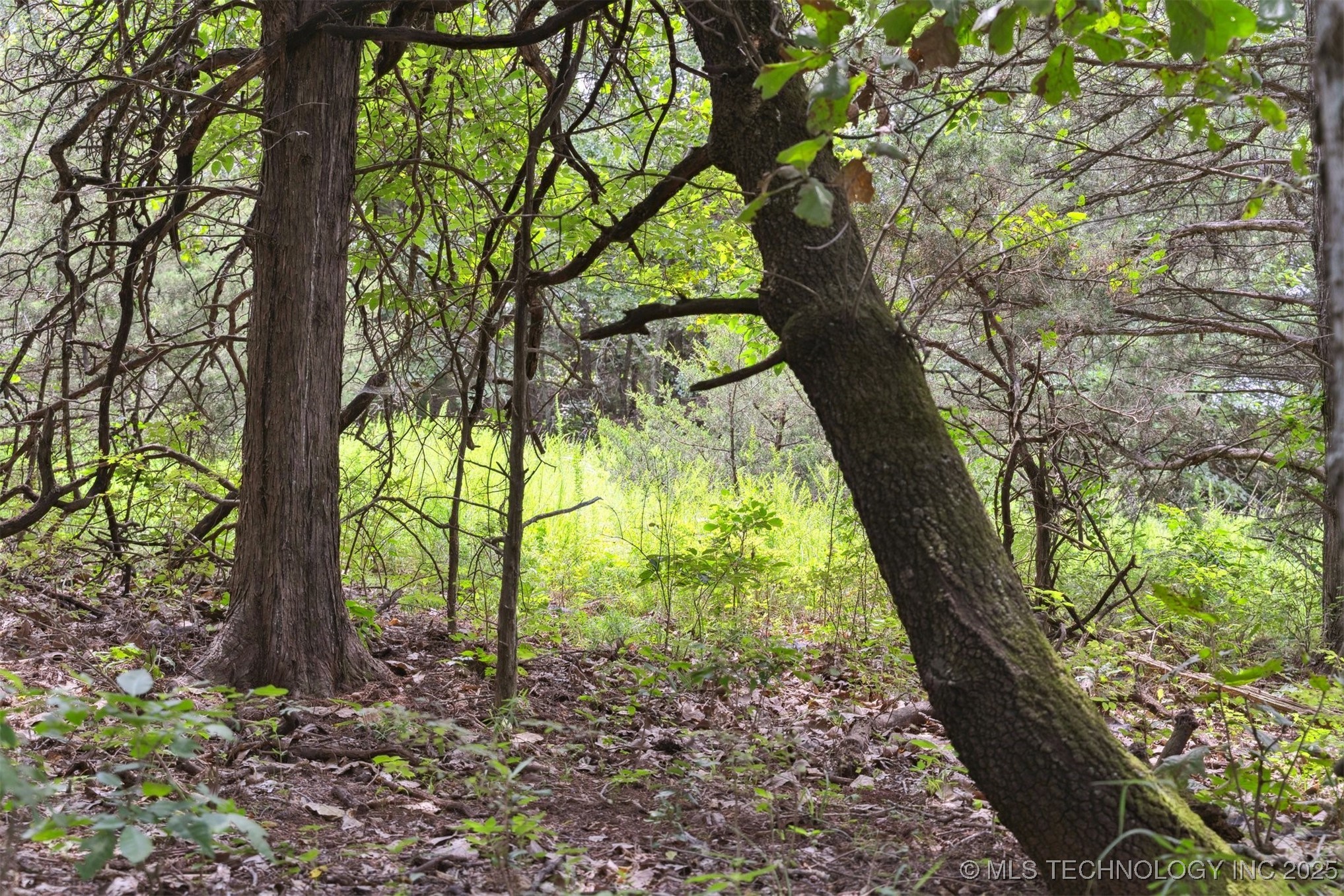 350345 5600 Road Property Photo 20