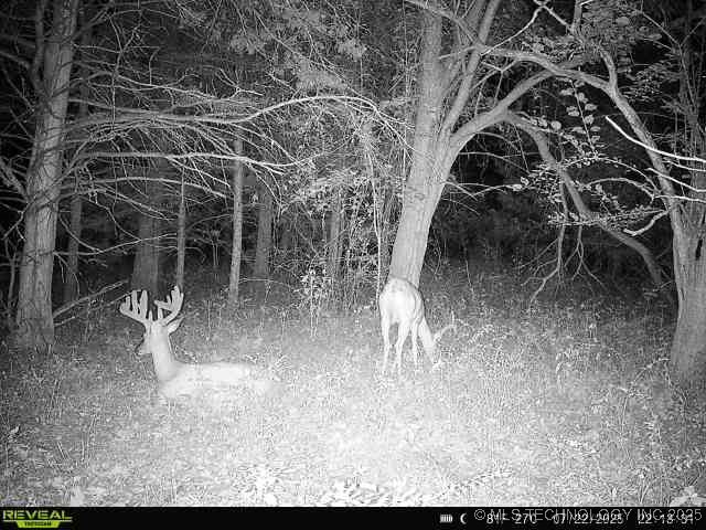 350345 5600 Road Property Photo 51