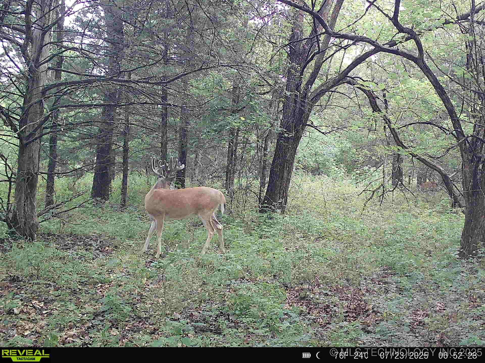 350345 5600 Road Property Photo 52